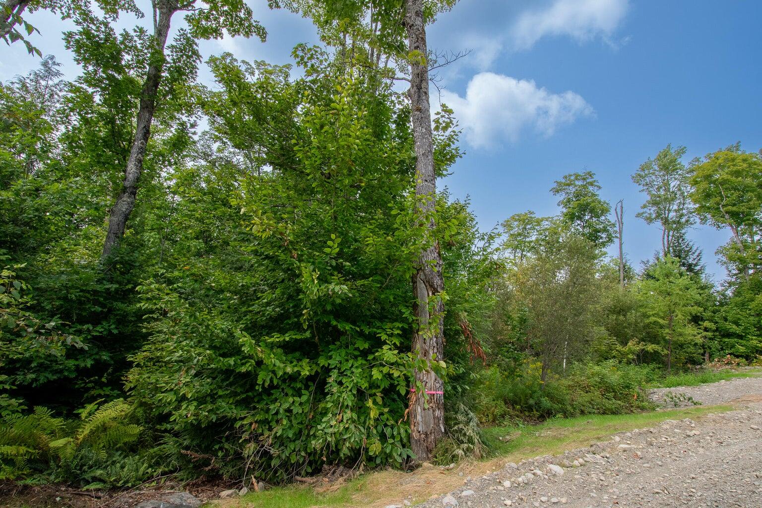 Lot1 Bear Brook Subdivision Property Photo 1