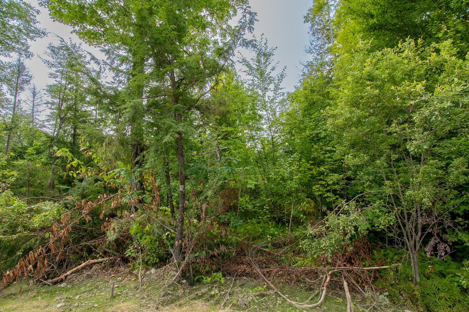 Lot1 Bear Brook Subdivision Property Photo 3