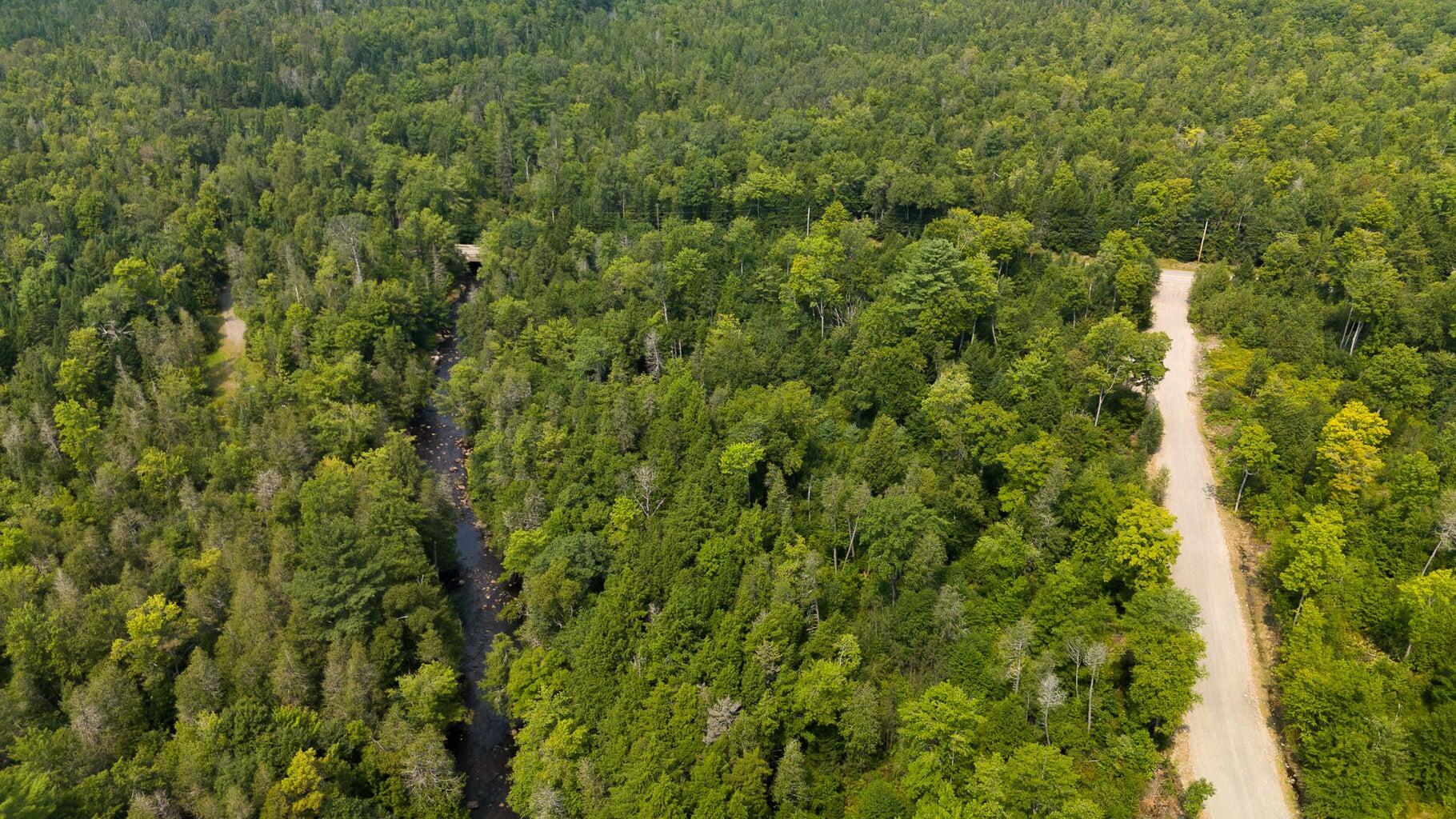 Lot1 Bear Brook Subdivision Property Photo 6