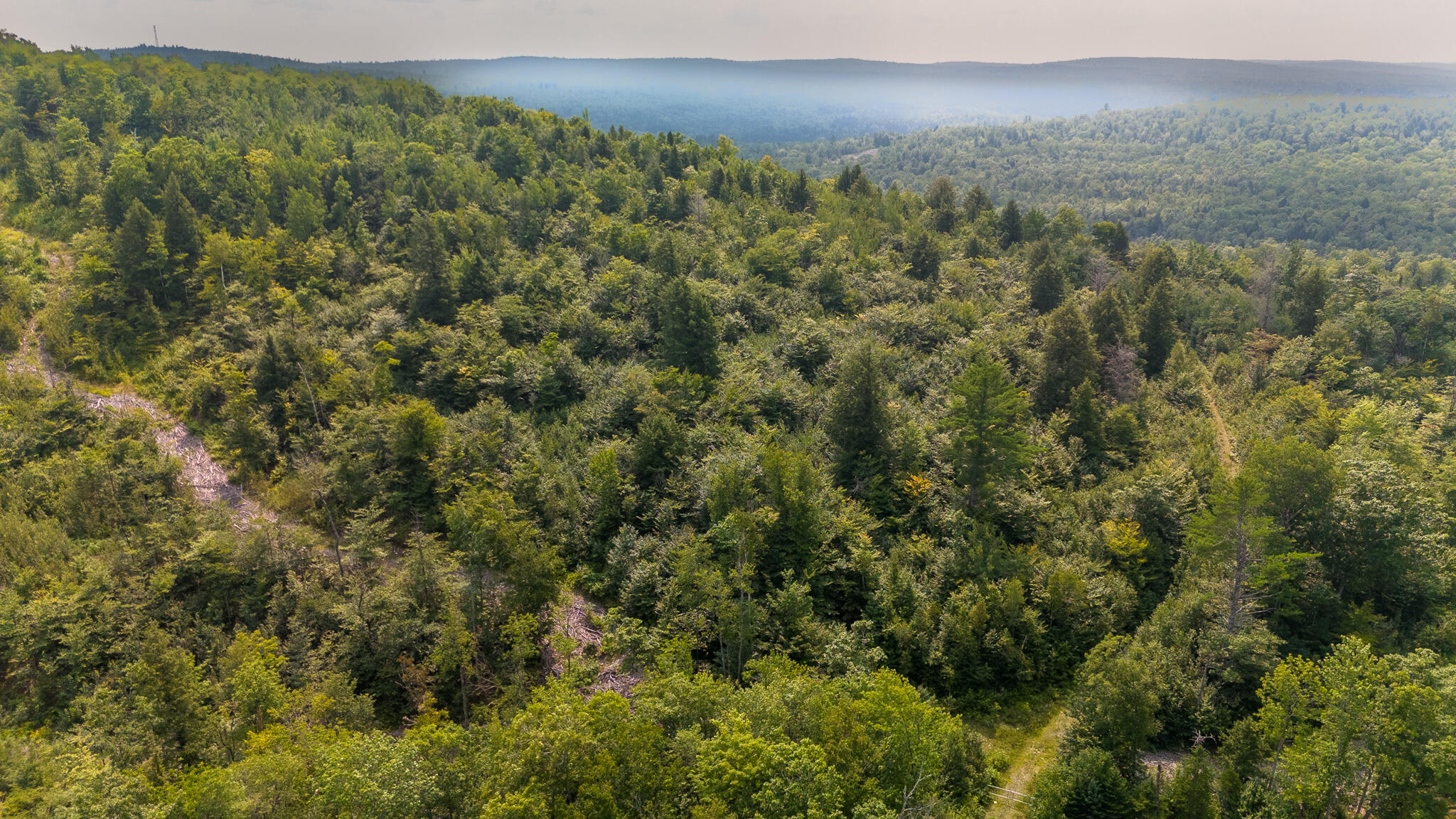 Lot8 Bear Brook Subdivision Property Photo 1