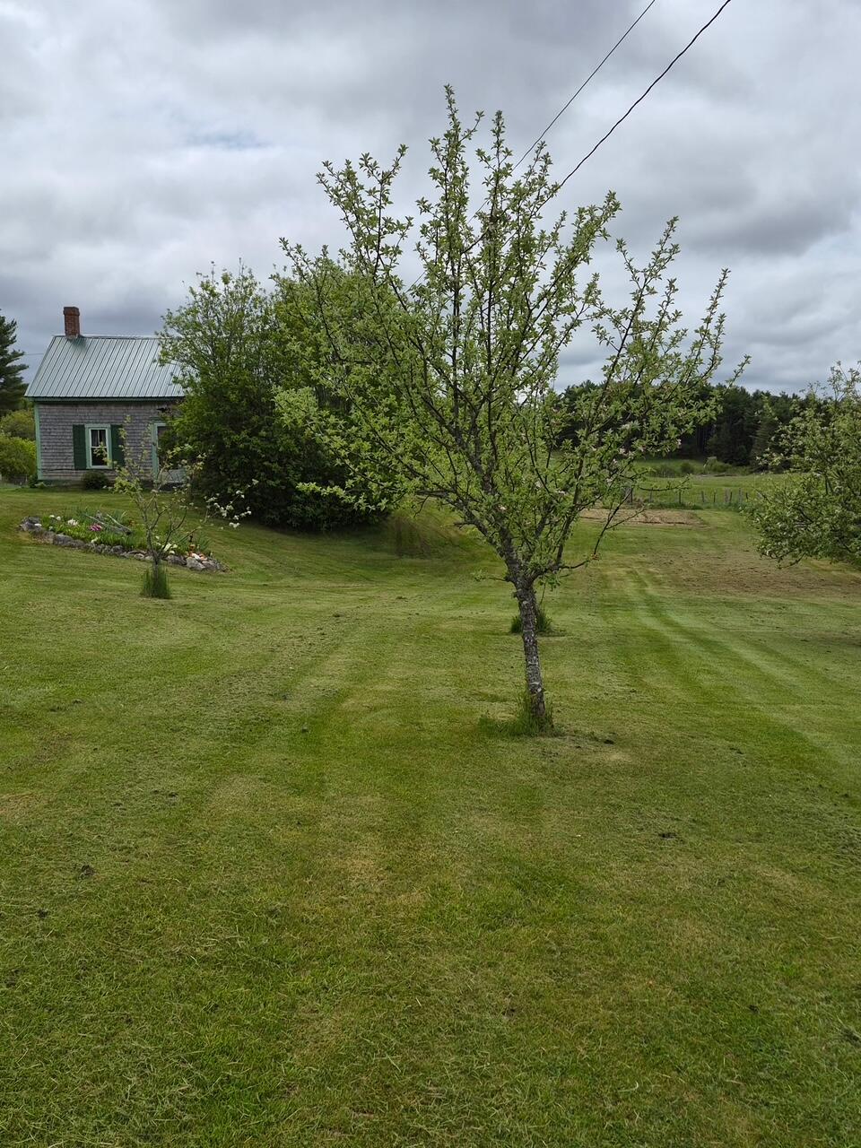 144 Harrison Road Property Photo 3