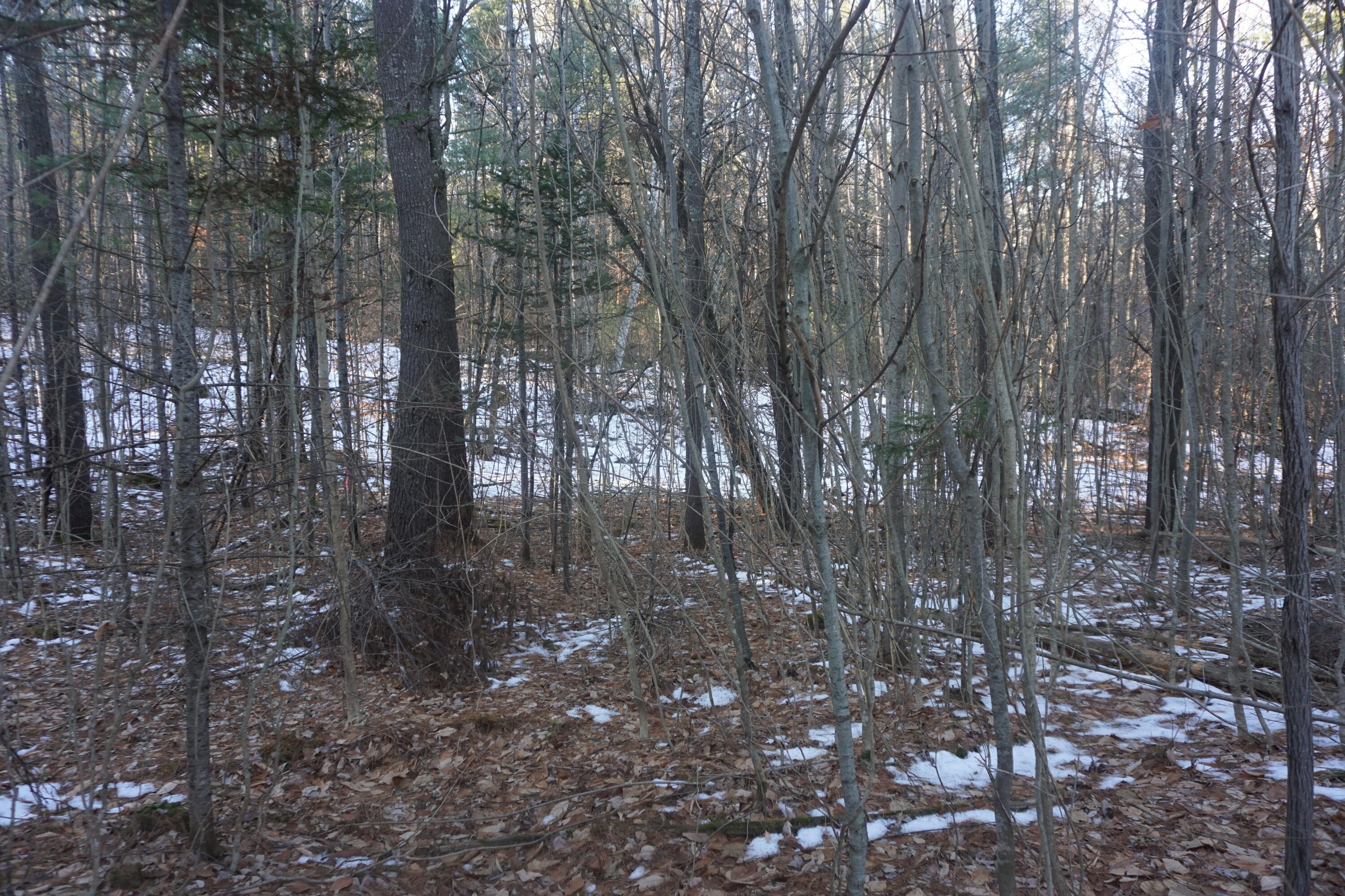 R-13-05.2 King Hill Road Property Photo 4