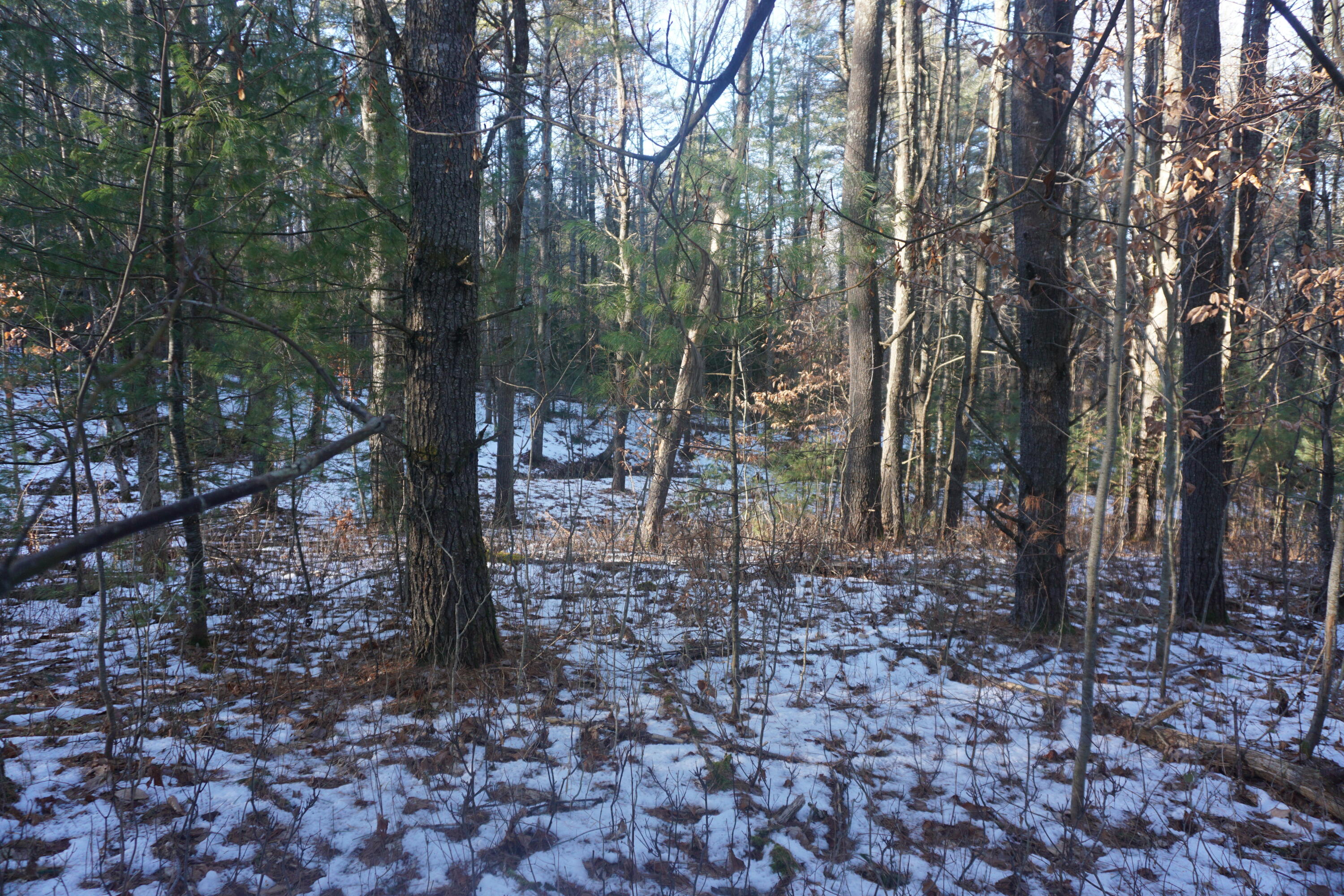 R-13-05.2 King Hill Road Property Photo 13