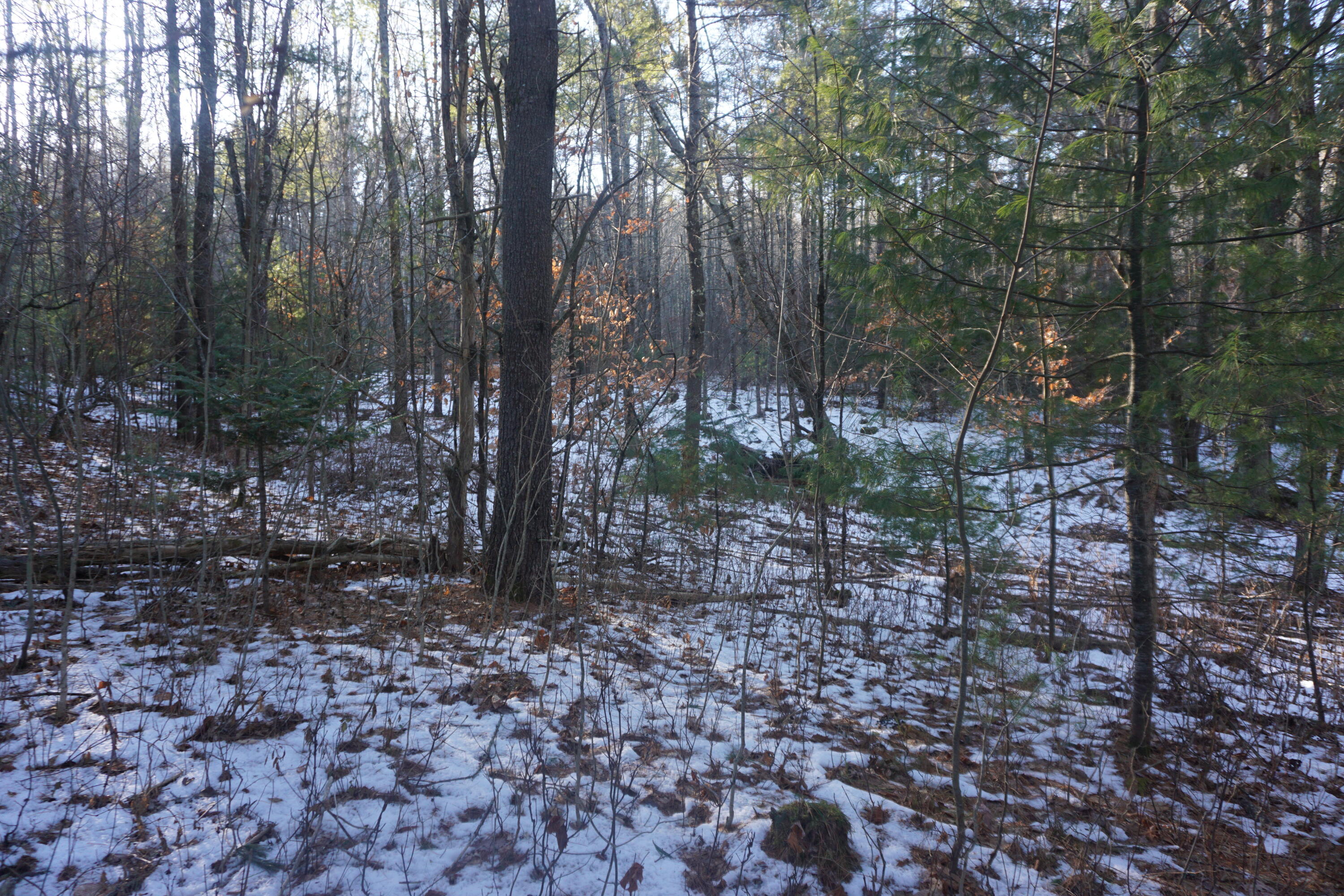 R-13-05.2 King Hill Road Property Photo 14