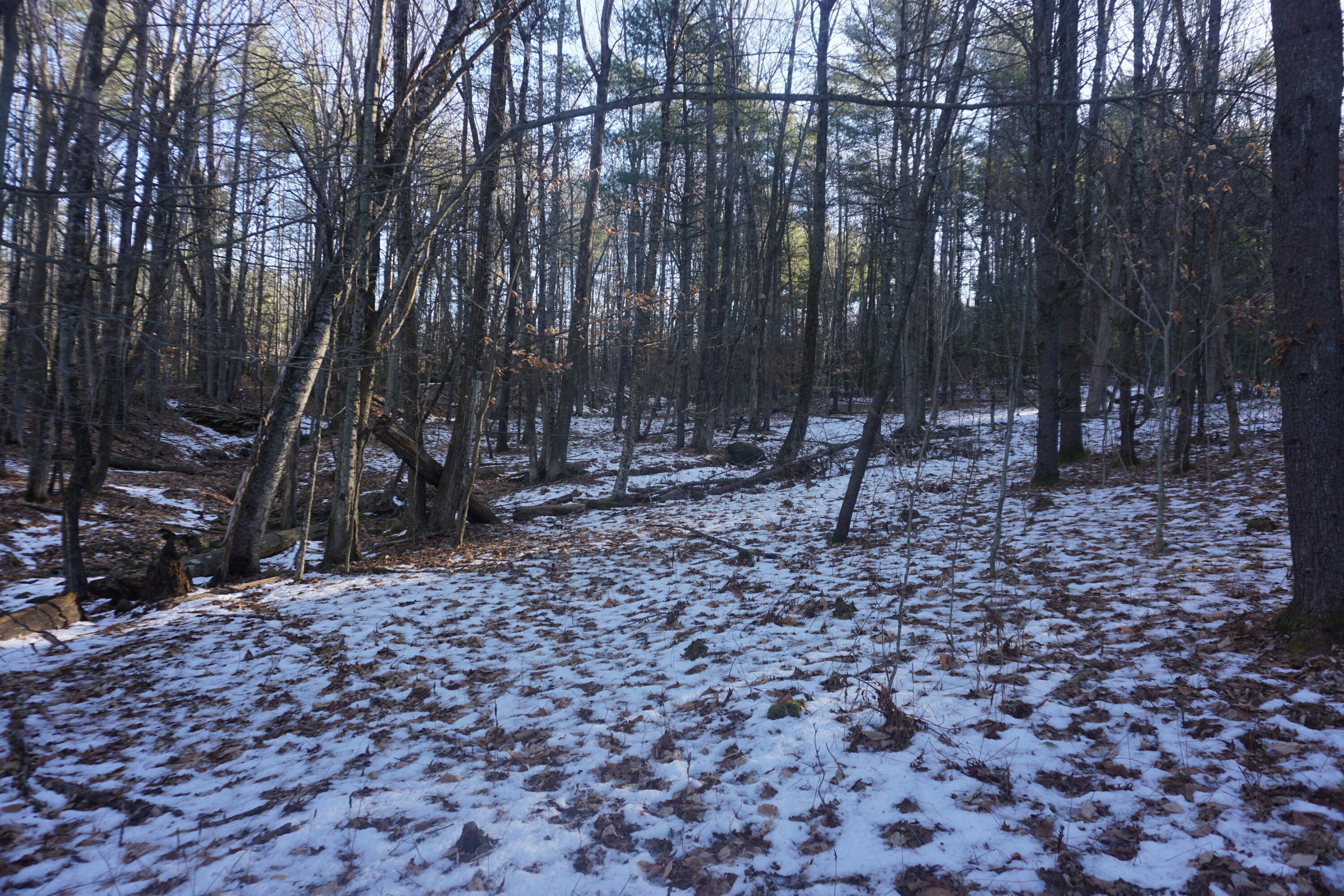 R-13-05.2 King Hill Road Property Photo 34