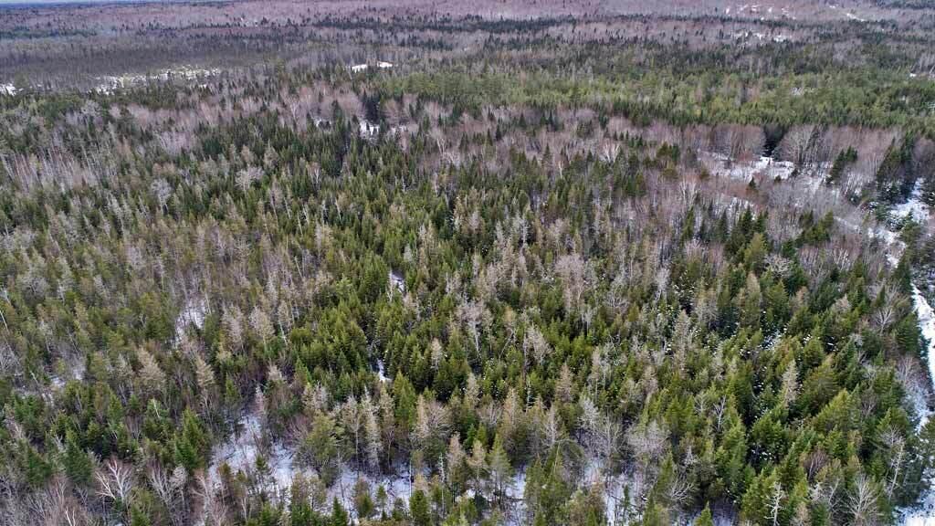 Lot 57 Fire Road Property Photo 14