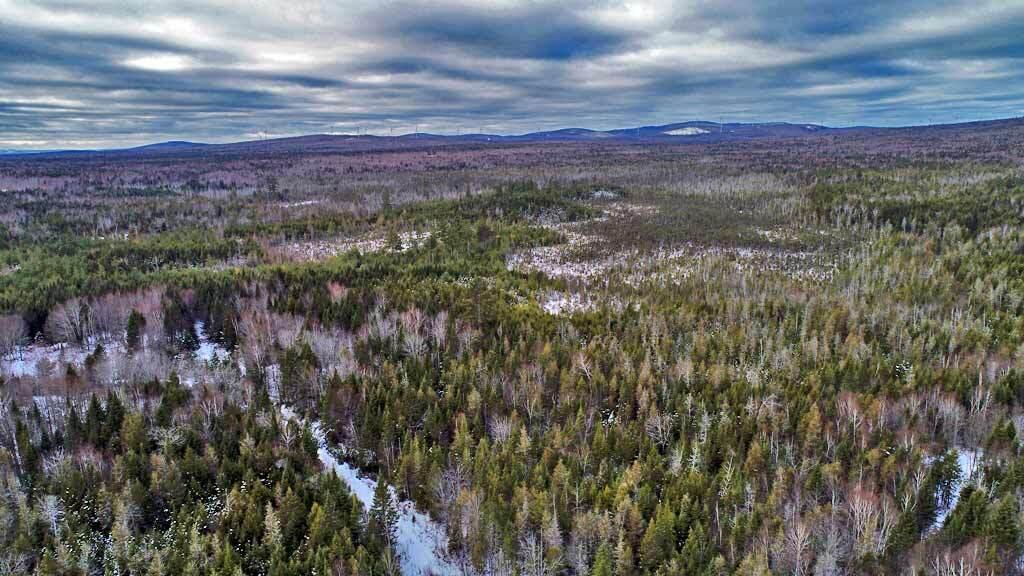 Lot 57 Fire Road Property Photo 15