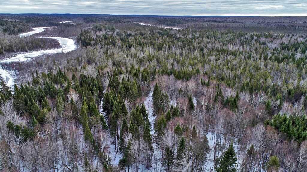 Lot 57 Fire Road Property Photo 16