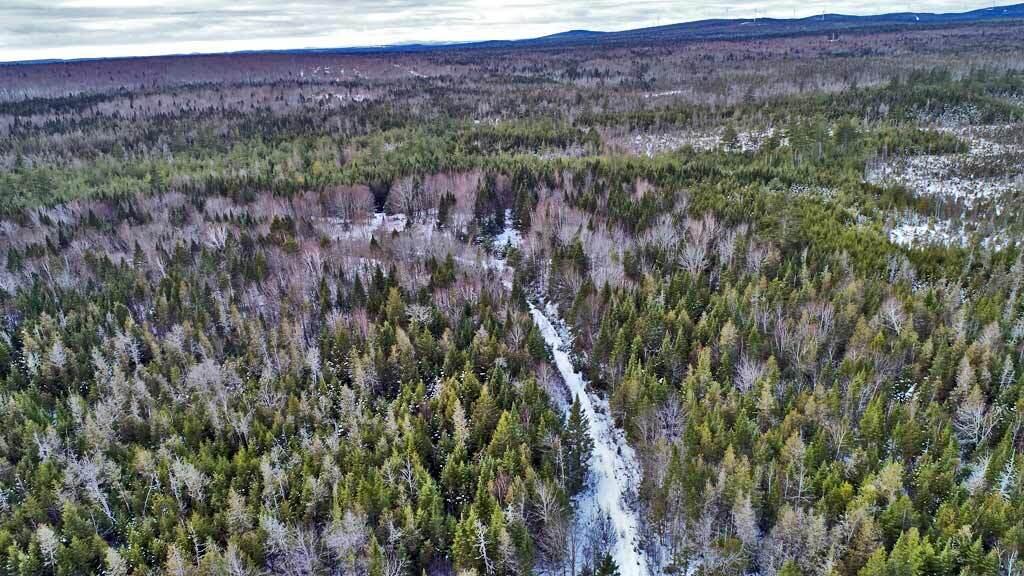 Lot 57 Fire Road Property Photo 18