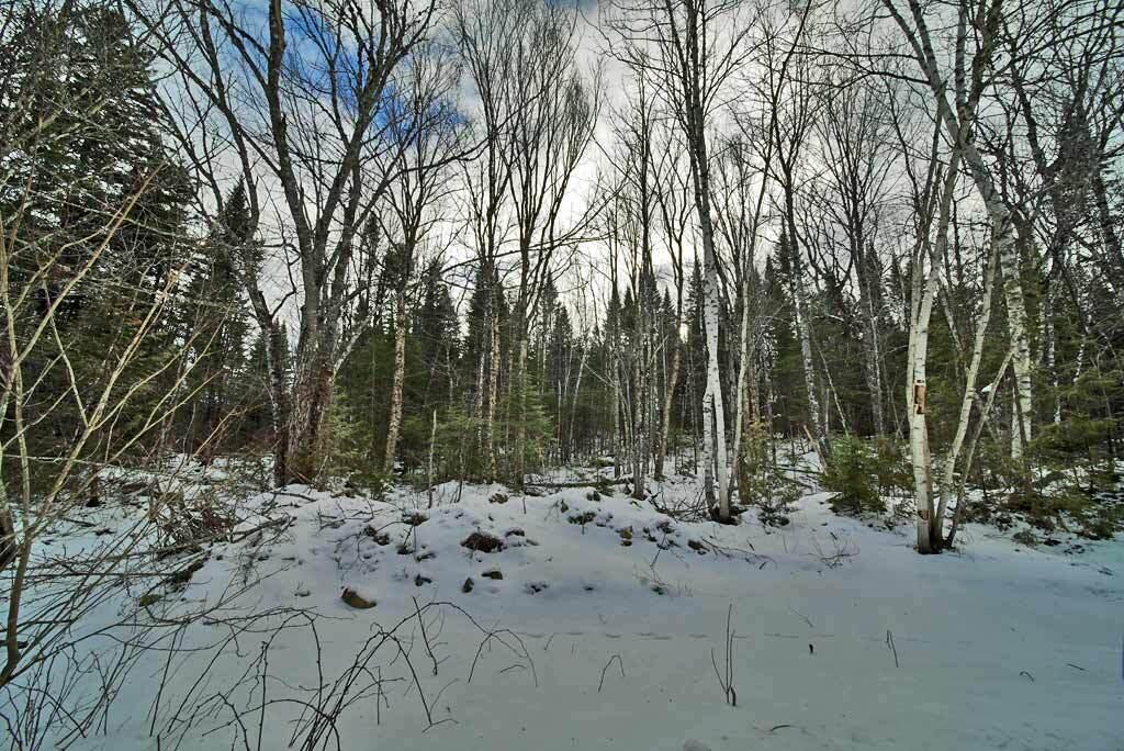 Lot 57 Fire Road Property Photo 21