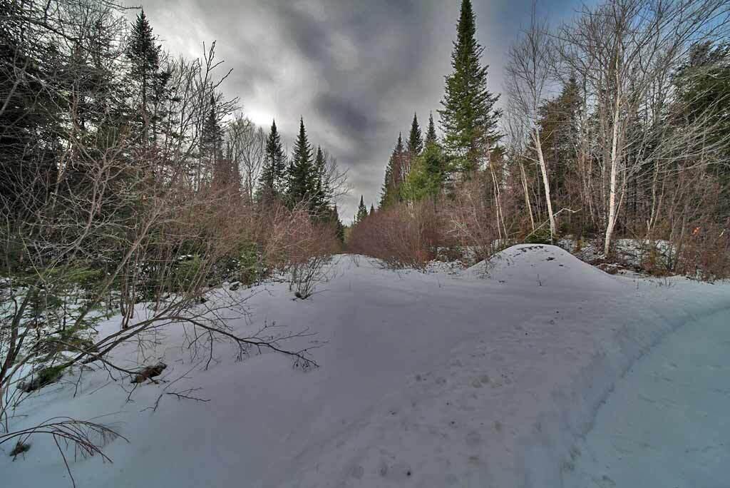 Lot 57 Fire Road Property Photo 23