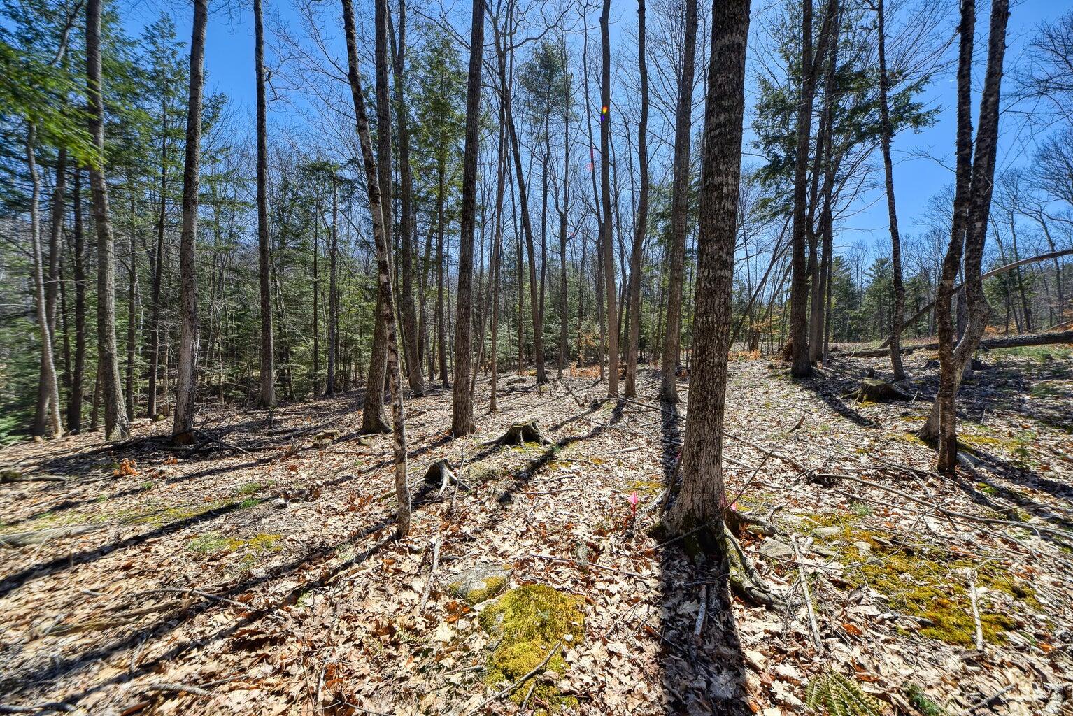 0 Route 9-126 Litchfield Drive Property Photo 14