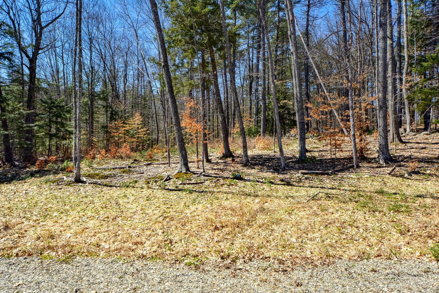 0 Route 9-126 Litchfield Drive Property Photo 25