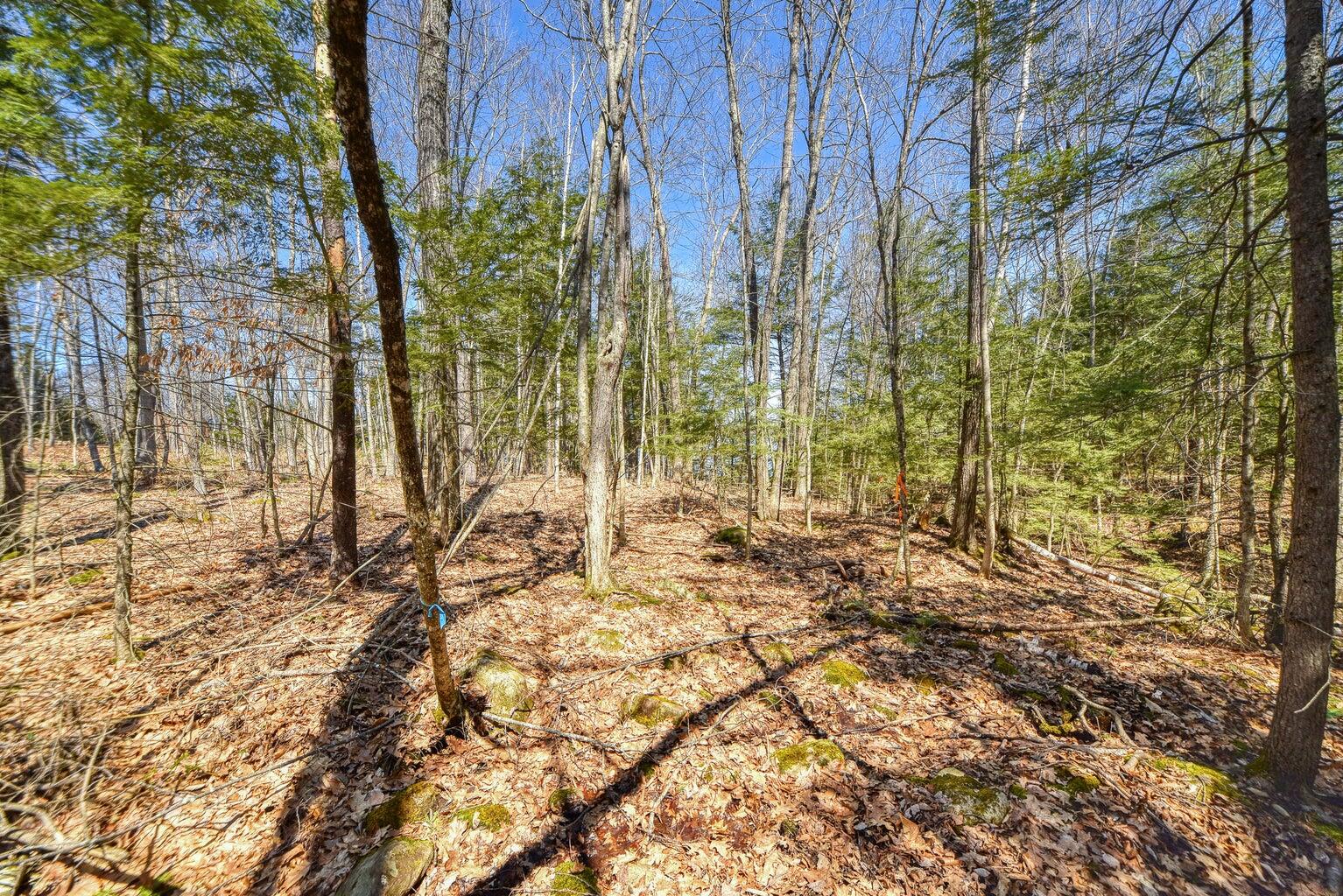 0 Route 9-126 Litchfield Drive Property Photo 29