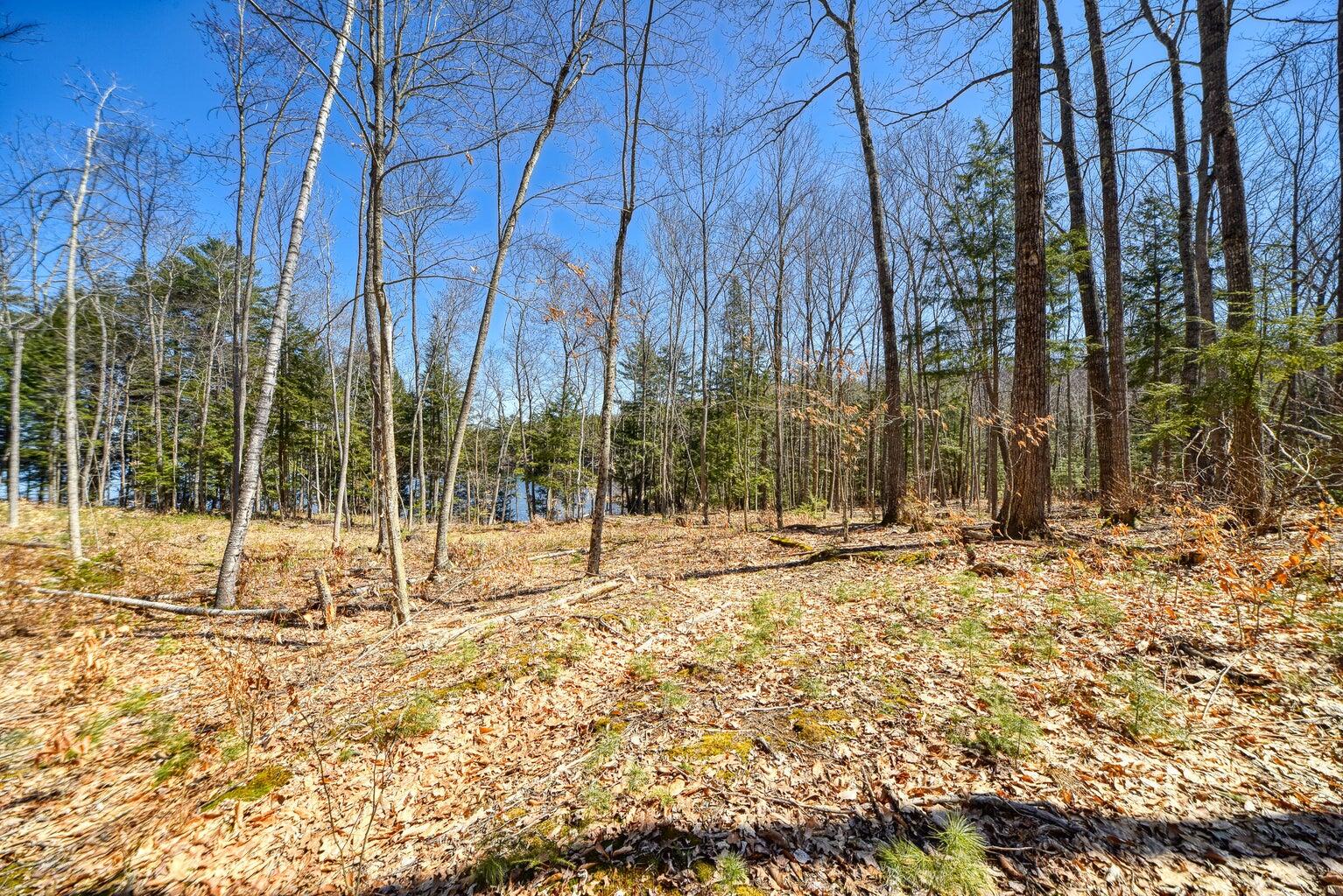 0 Route 9-126 Litchfield Drive Property Photo 30