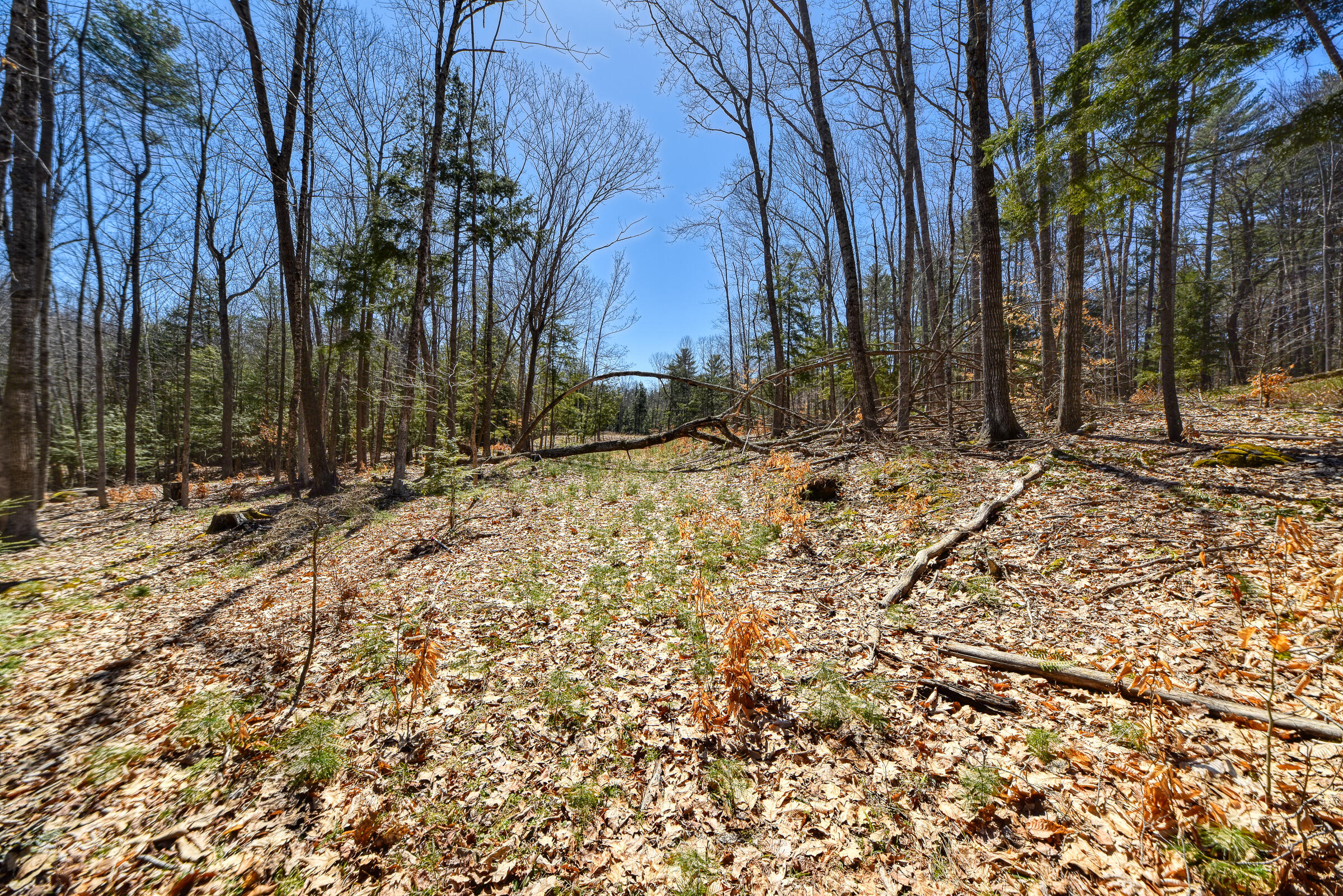 0 Route9-126 Road Property Photo 7