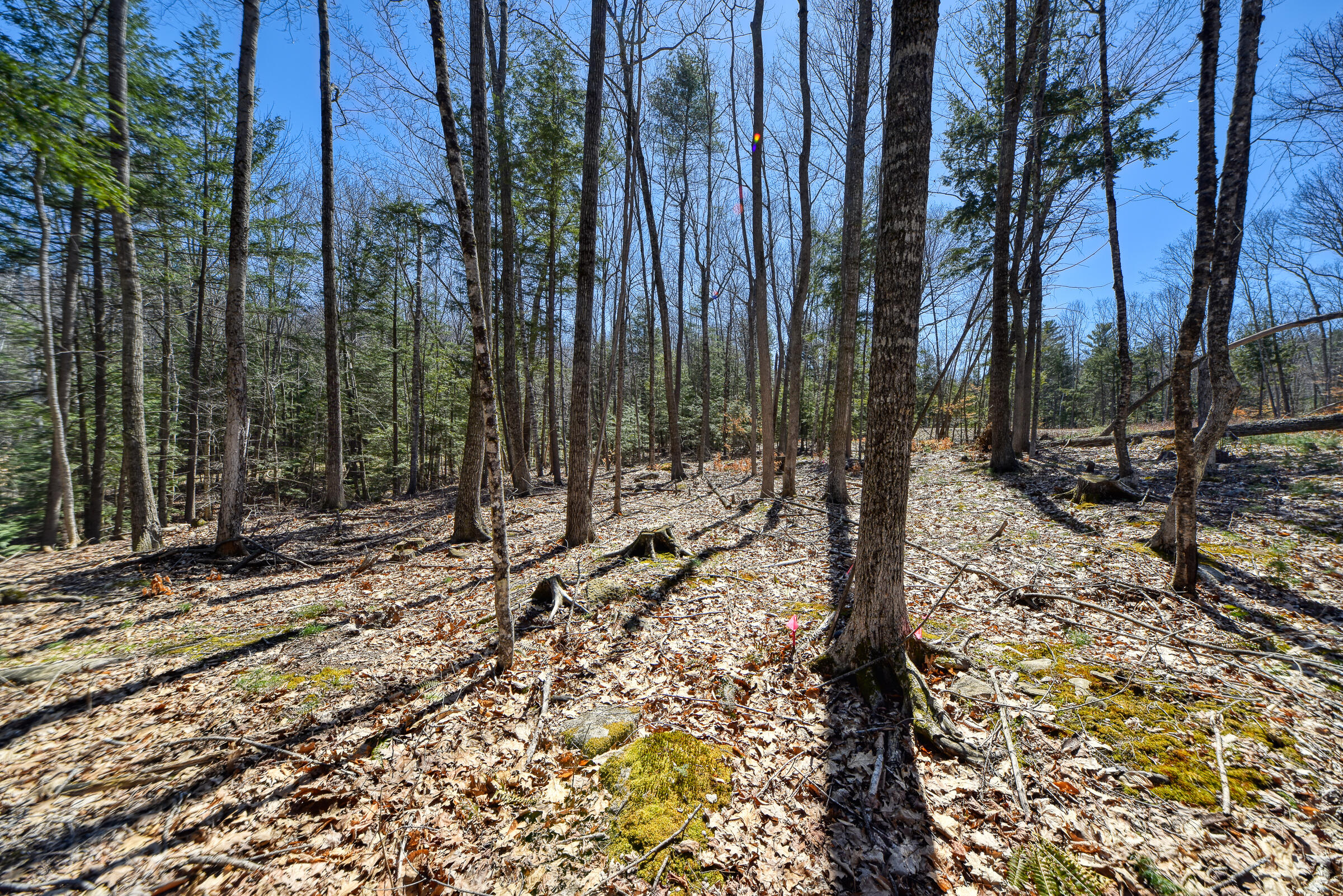 0 Route9-126 Road Property Photo 10
