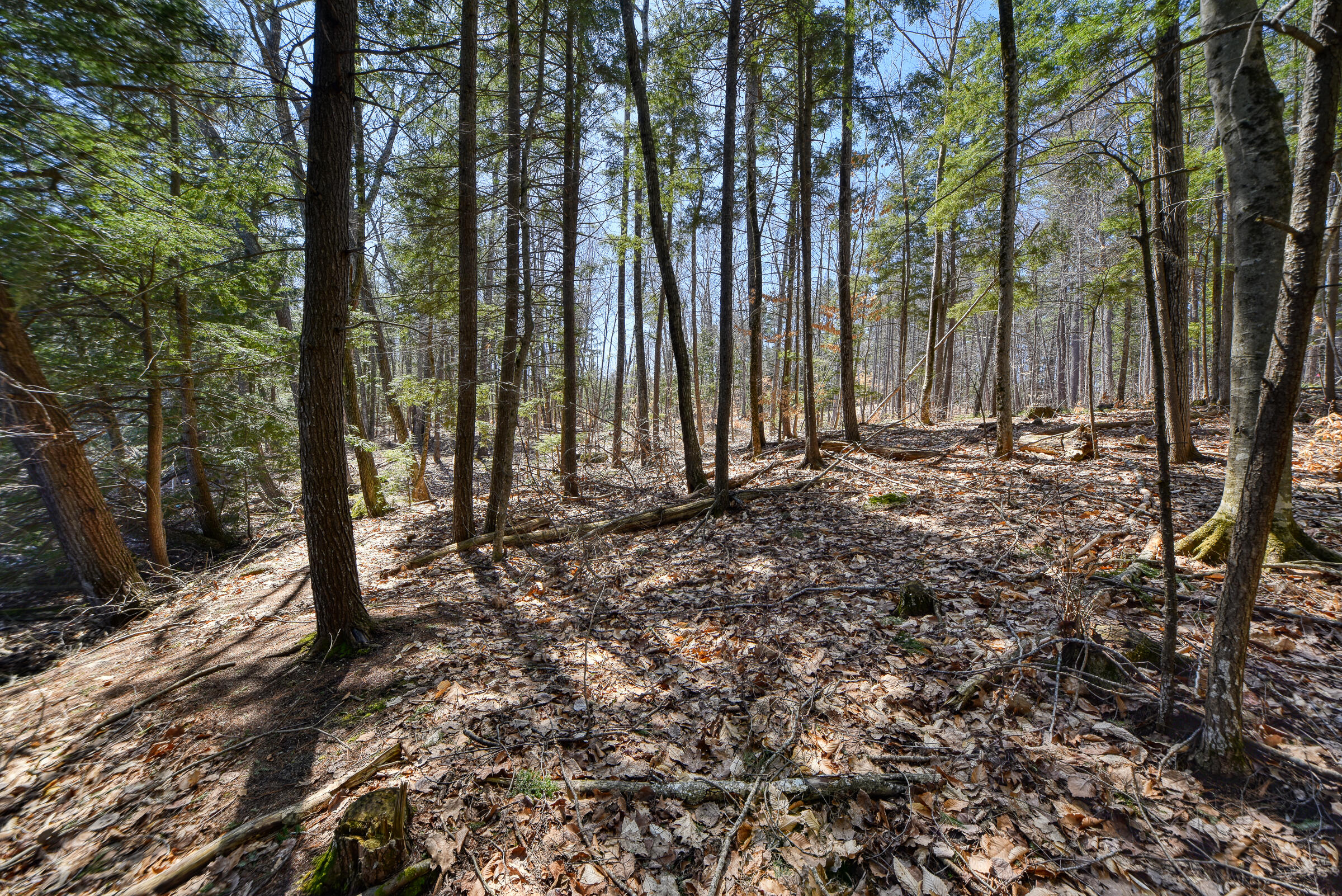 0 Route9-126 Road Property Photo 23