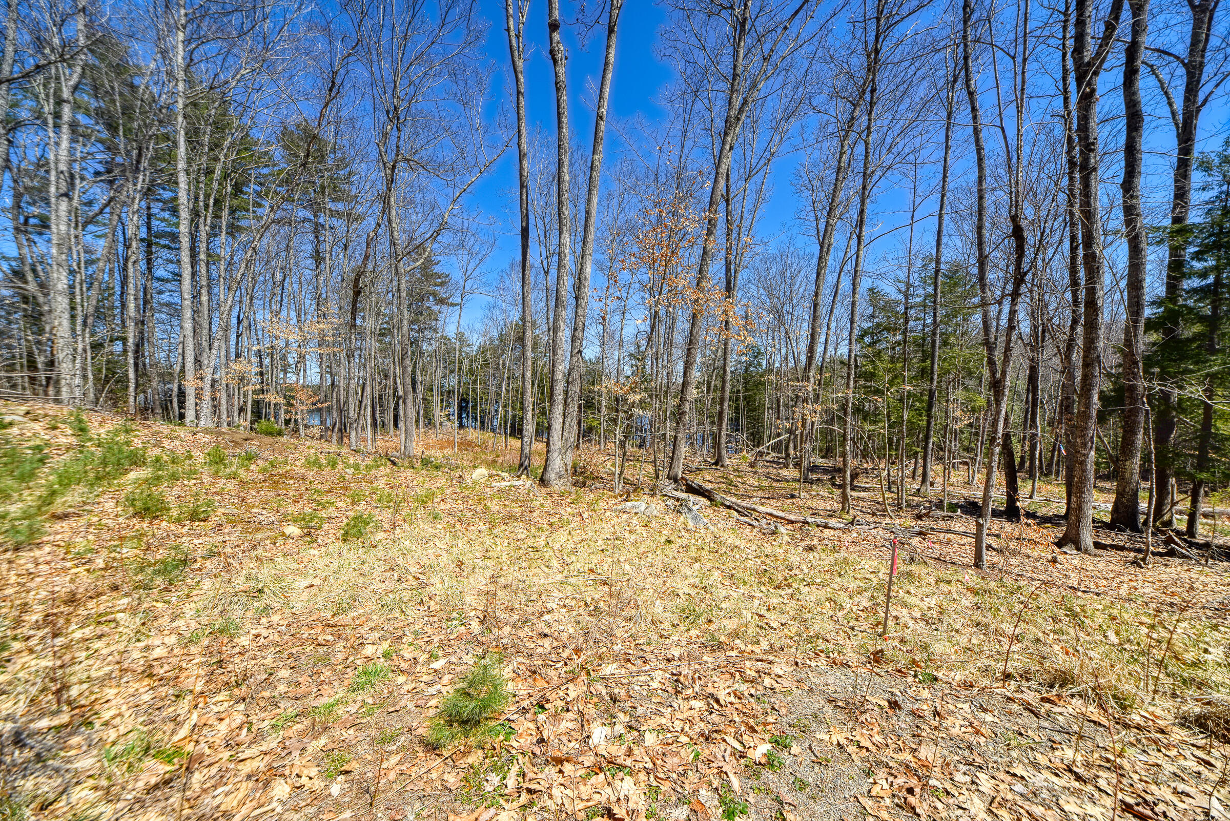 0 Route9-126 Road Property Photo 24