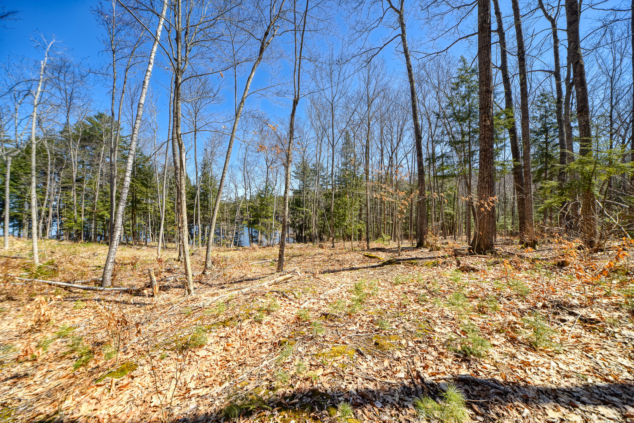 0 Route9-126 Road Property Photo 27