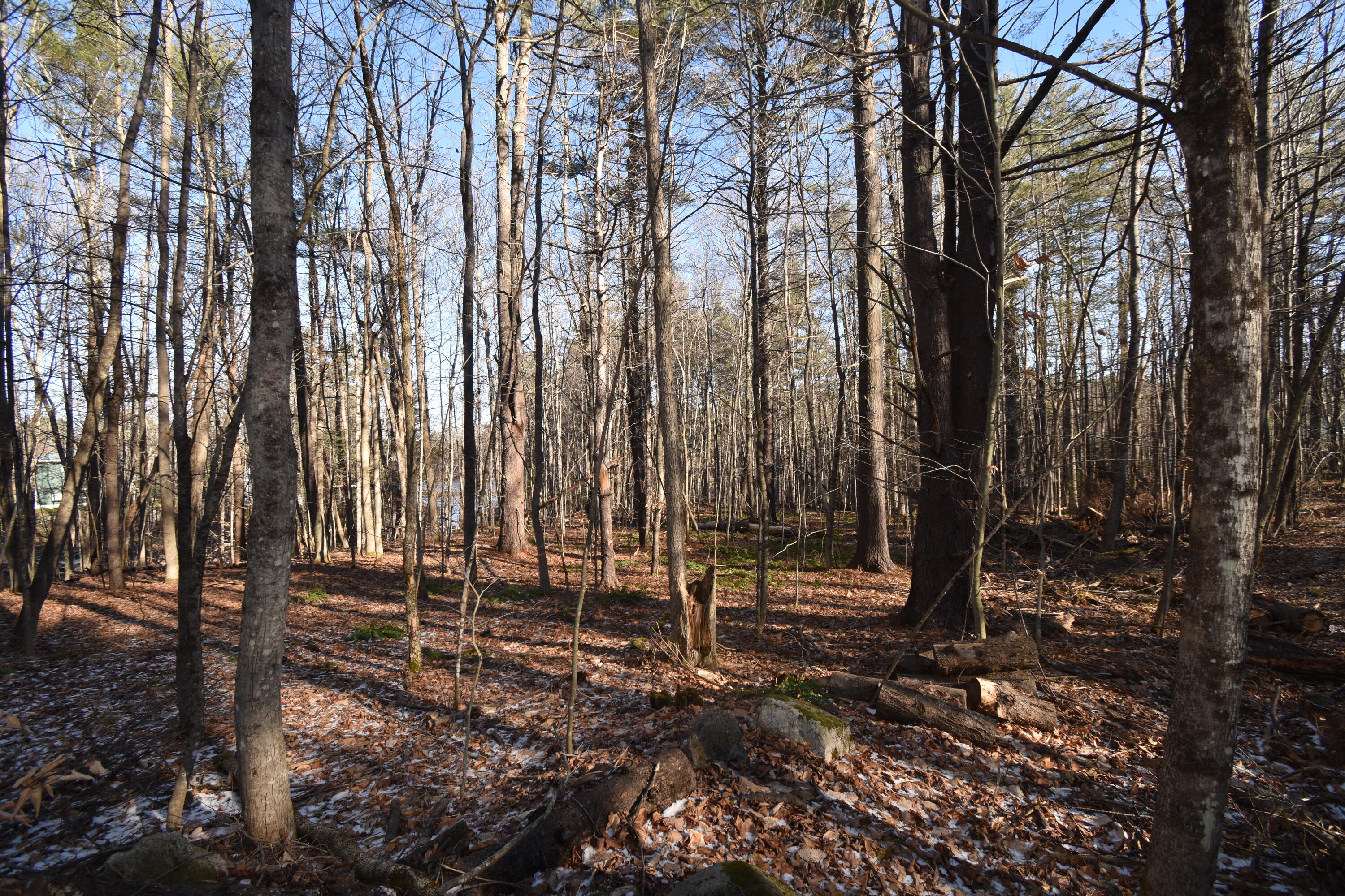 0 Route9-126 Road Property Photo 29