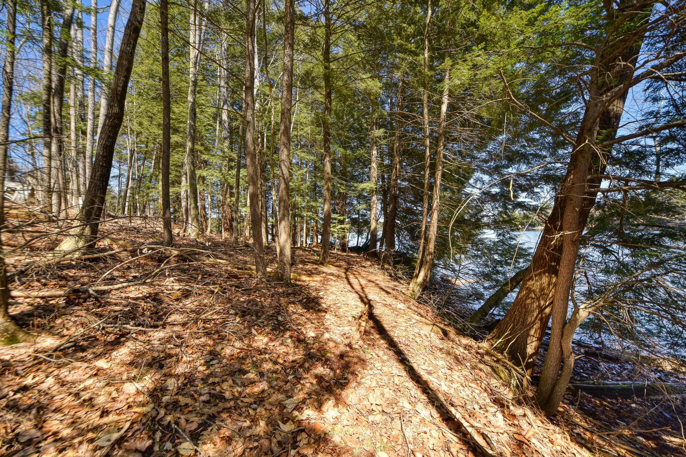 0 Route9-126 Road Property Photo 30