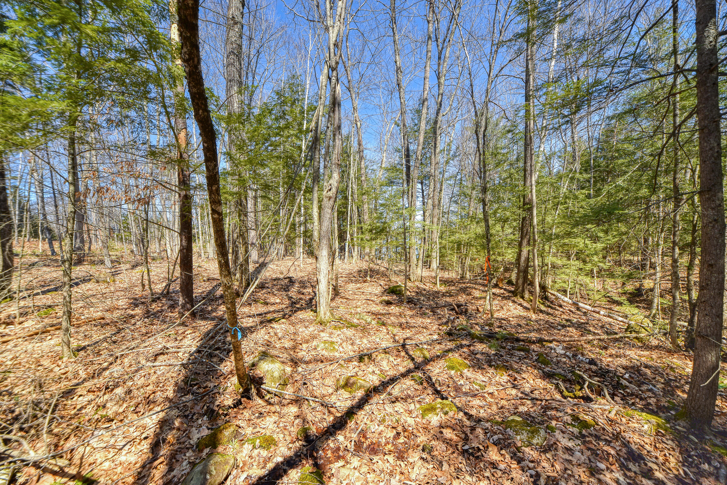 0 Route9-126 Road Property Photo 31