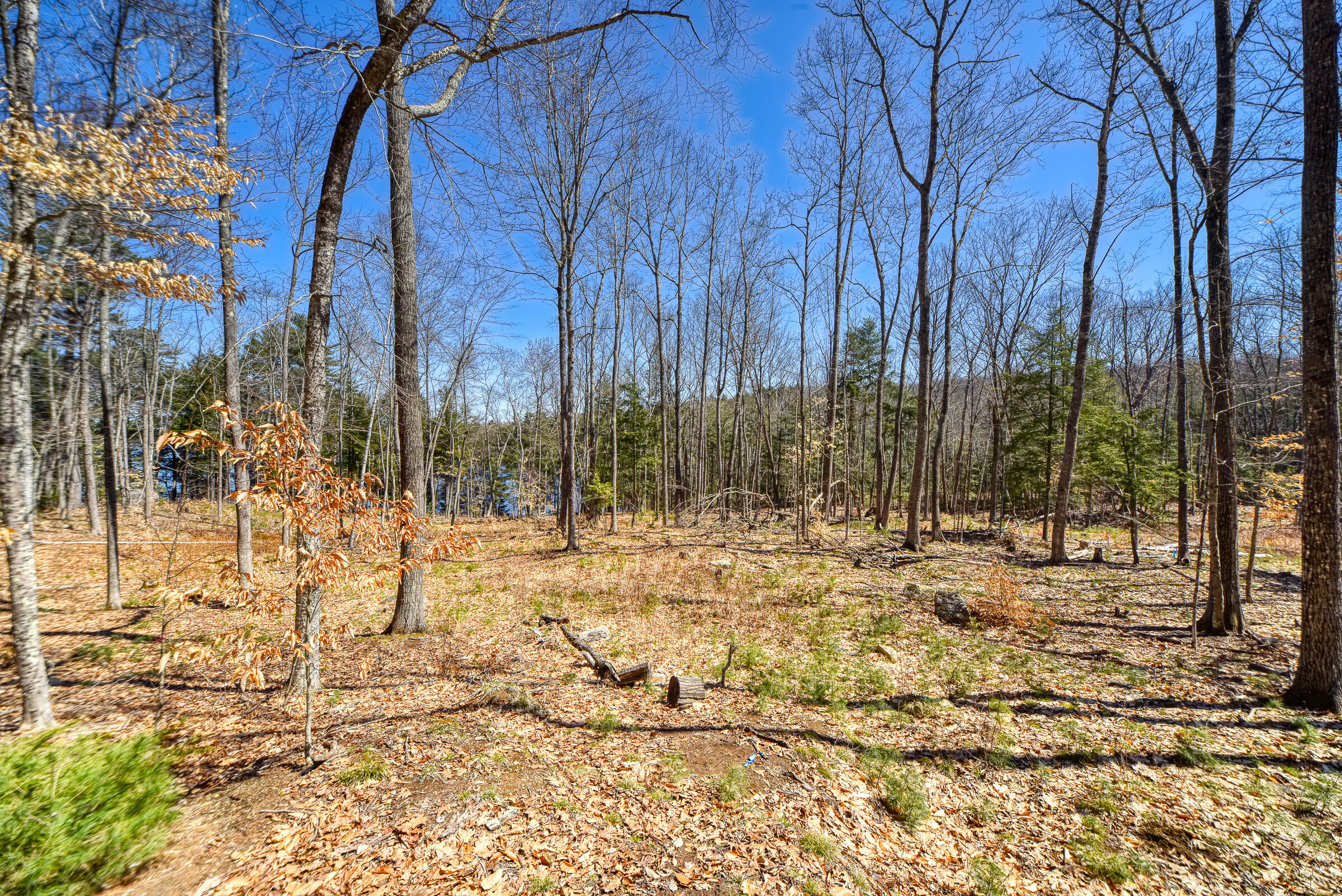 0 Route9-126 Road Property Photo 33
