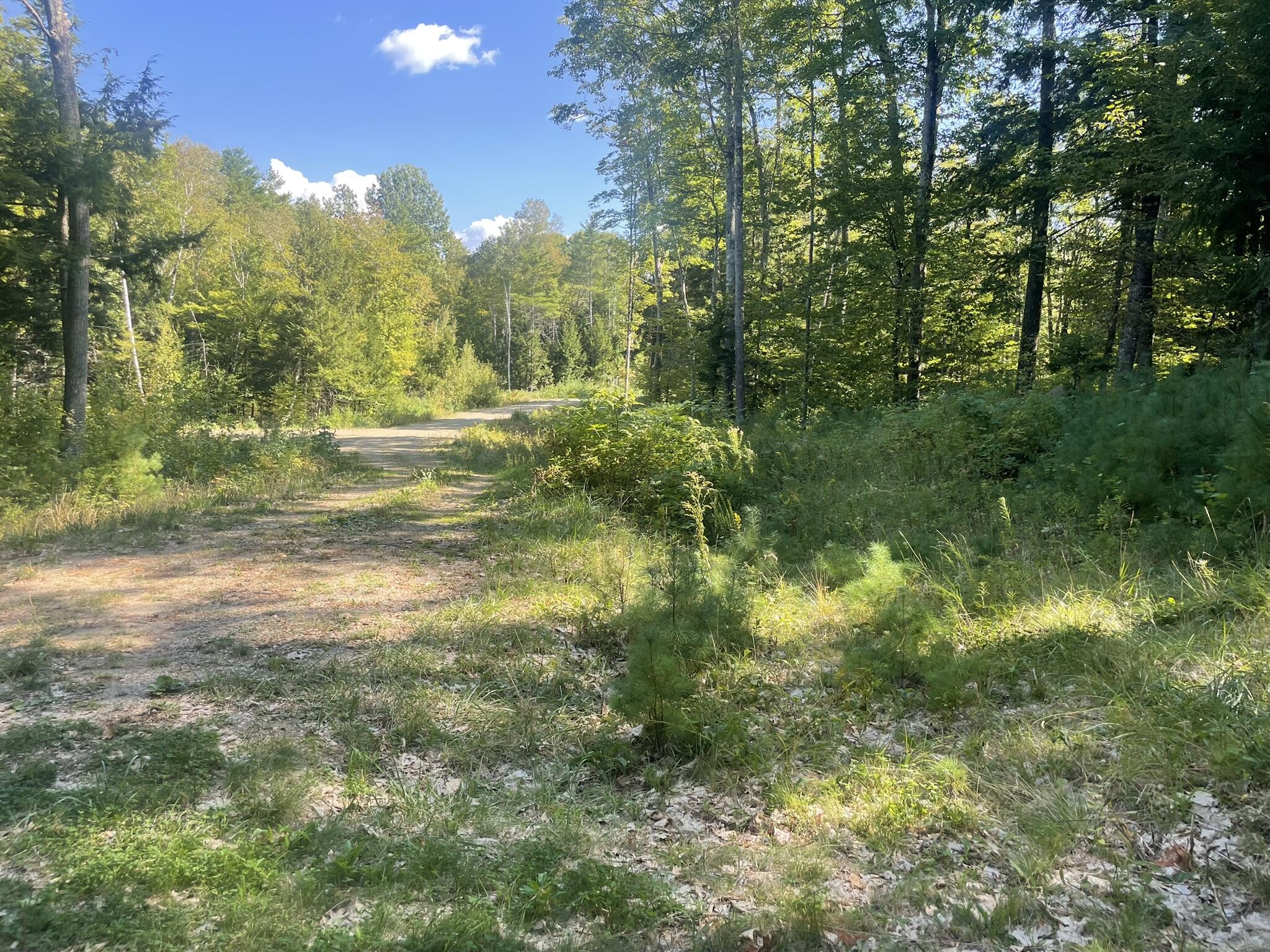 0 Route9-126 Road Property Photo 61