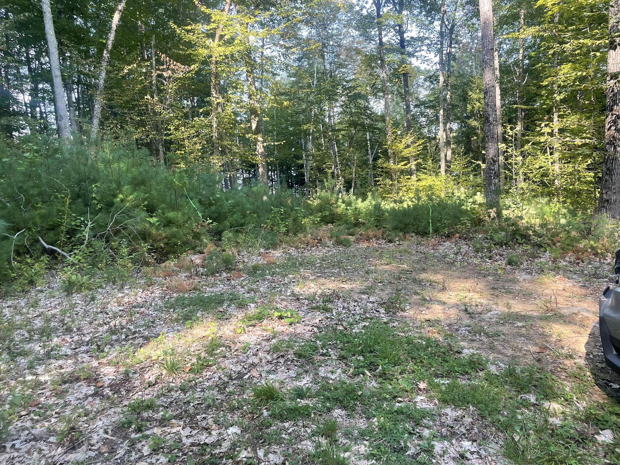 0 Route9-126 Road Property Photo 62