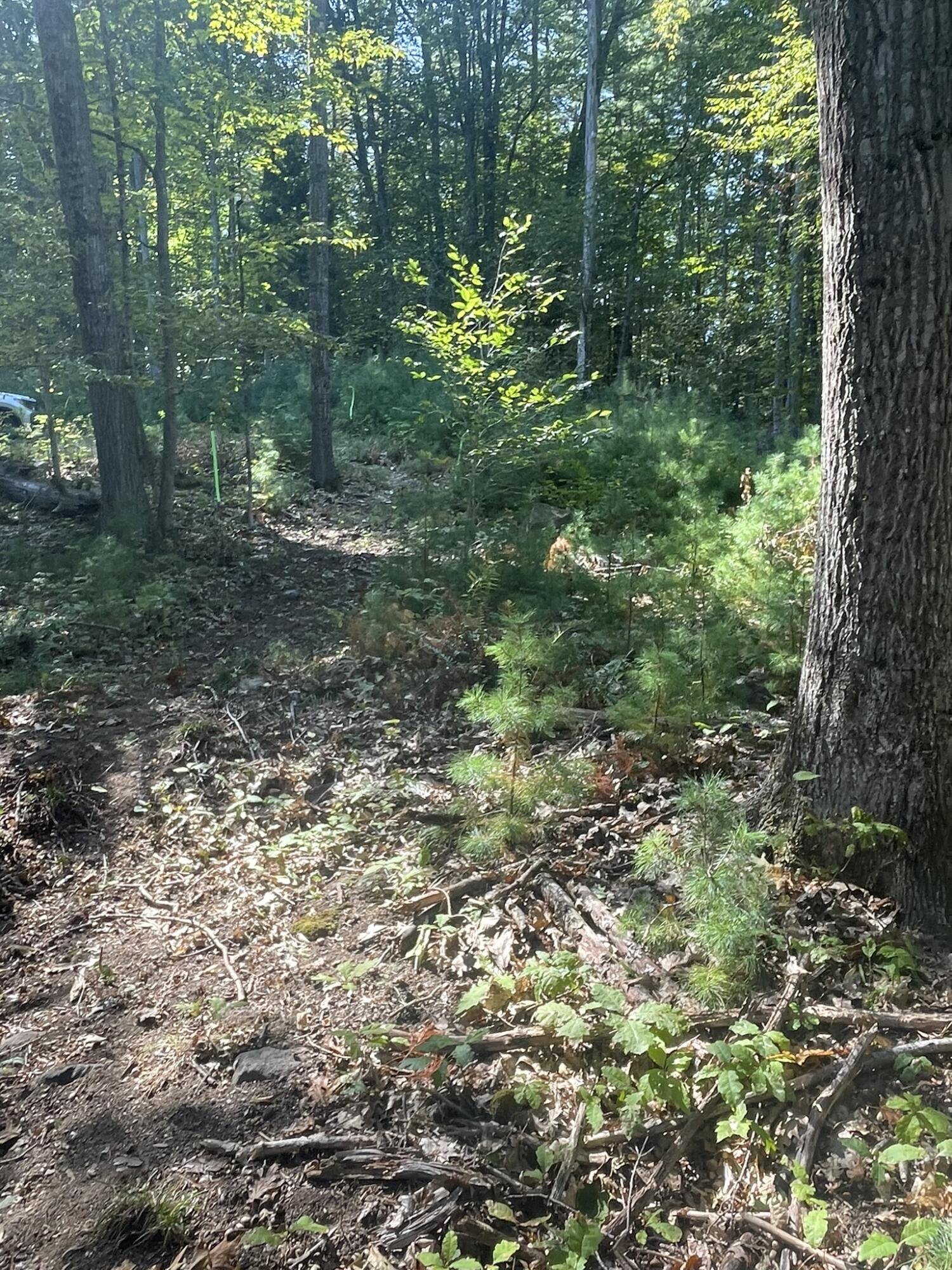 0 Route9-126 Road Property Photo 63