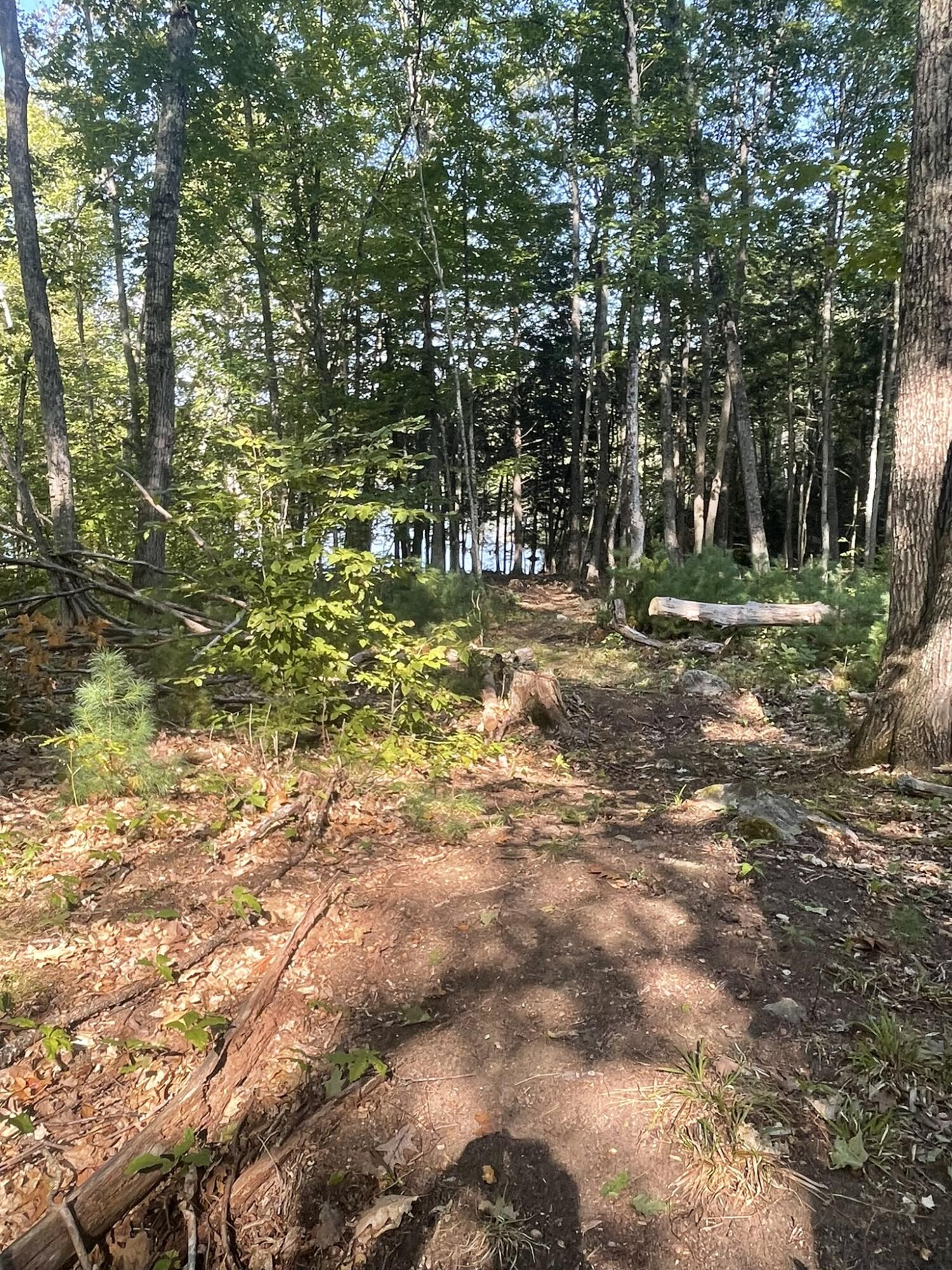 0 Route9-126 Road Property Photo 64
