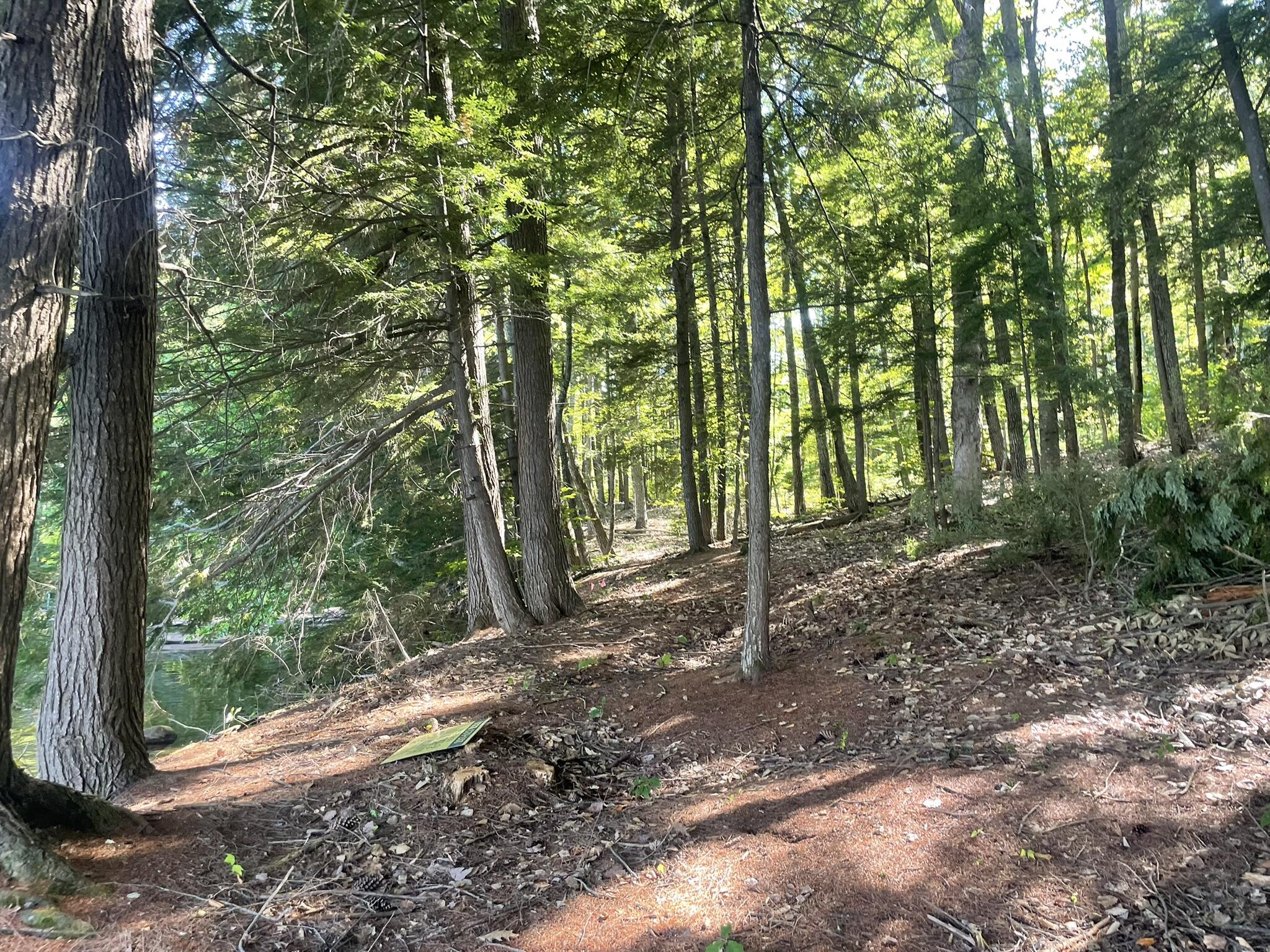 0 Route9-126 Road Property Photo 76