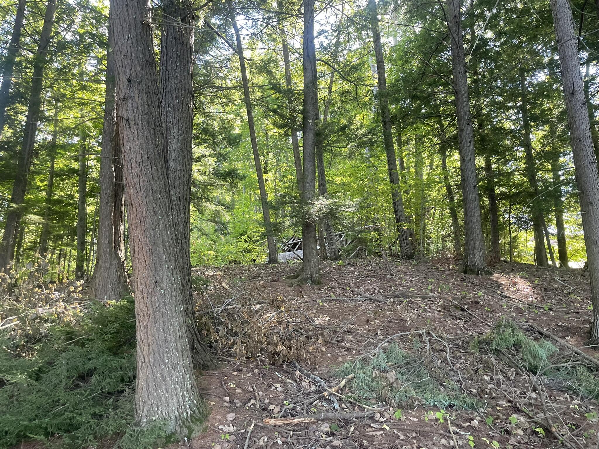 0 Route9-126 Road Property Photo 77