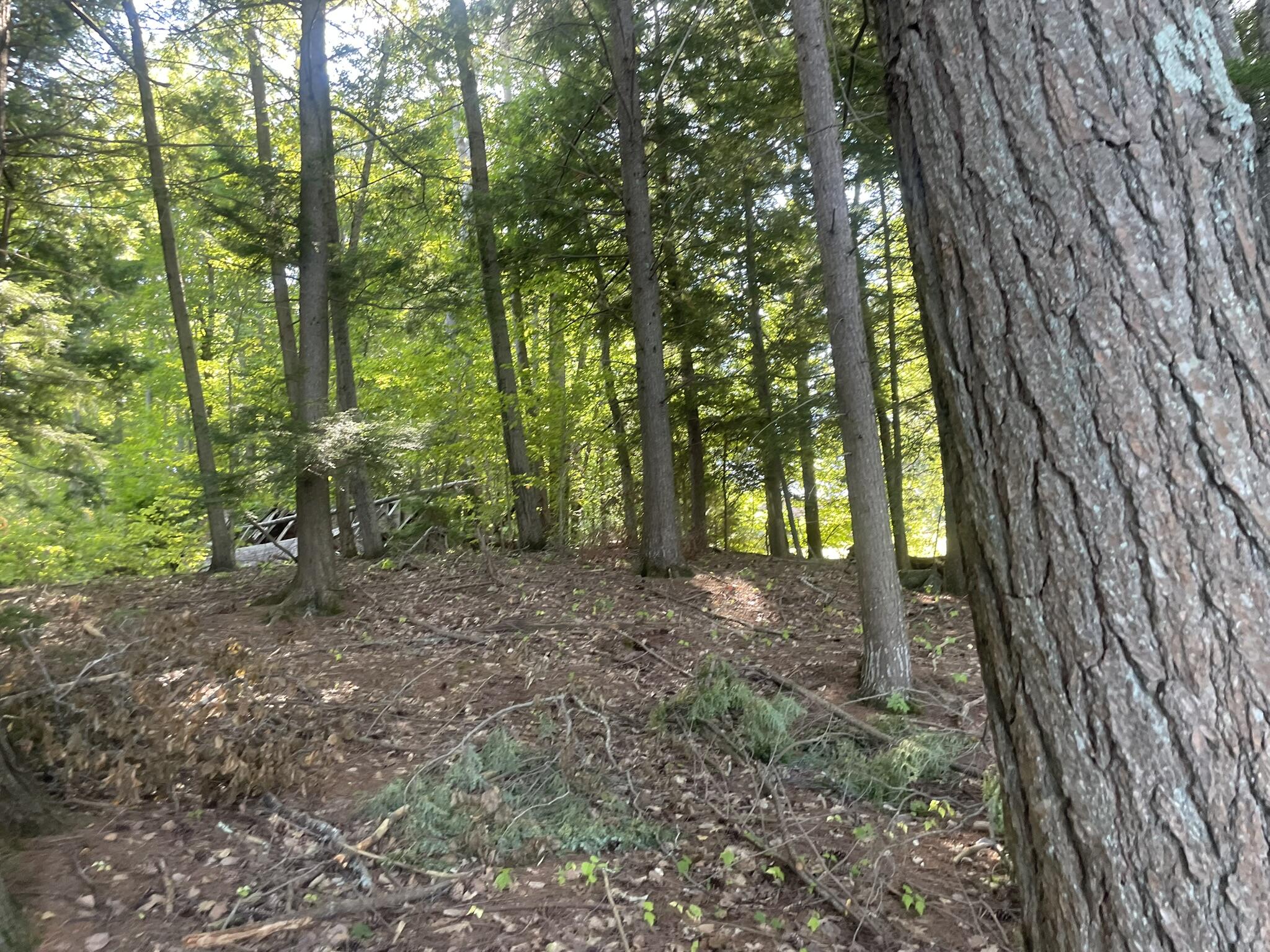 0 Route9-126 Road Property Photo 78