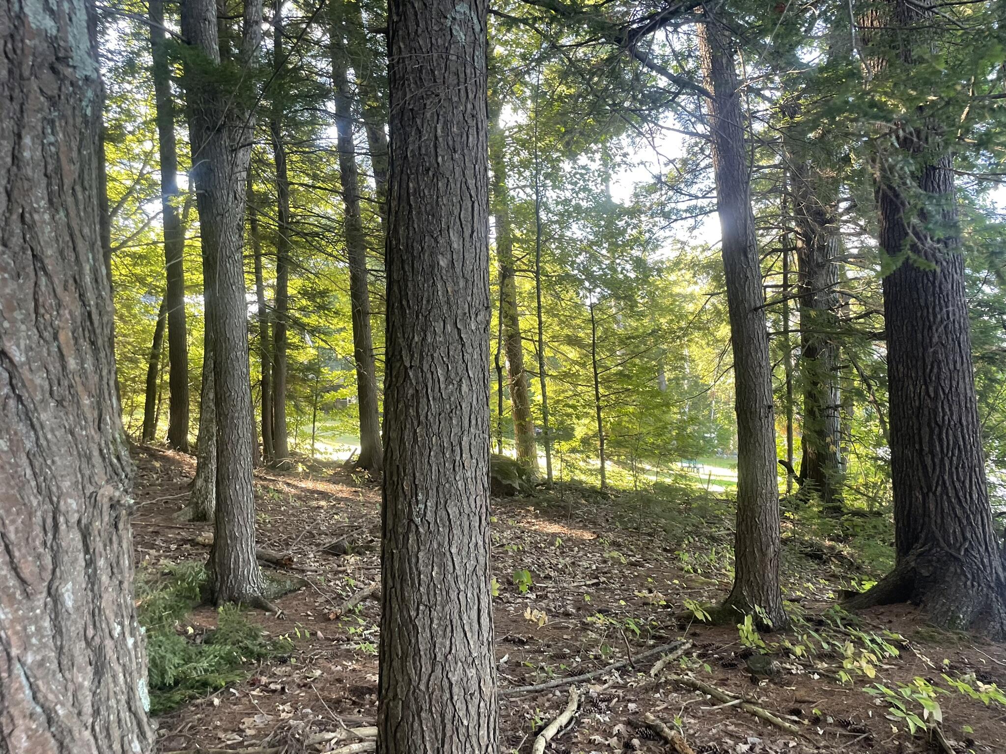 0 Route9-126 Road Property Photo 79