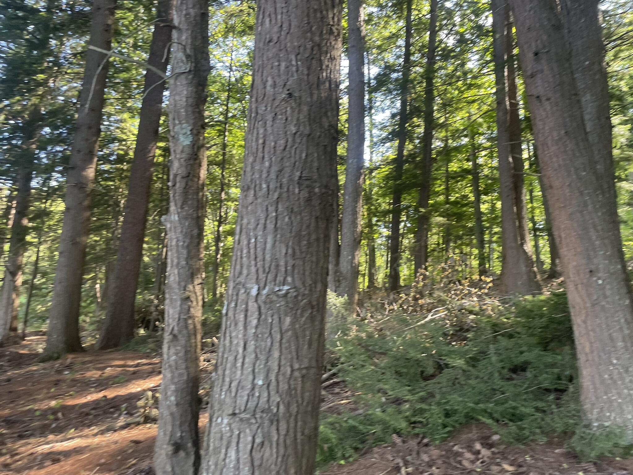 0 Route9-126 Road Property Photo 85