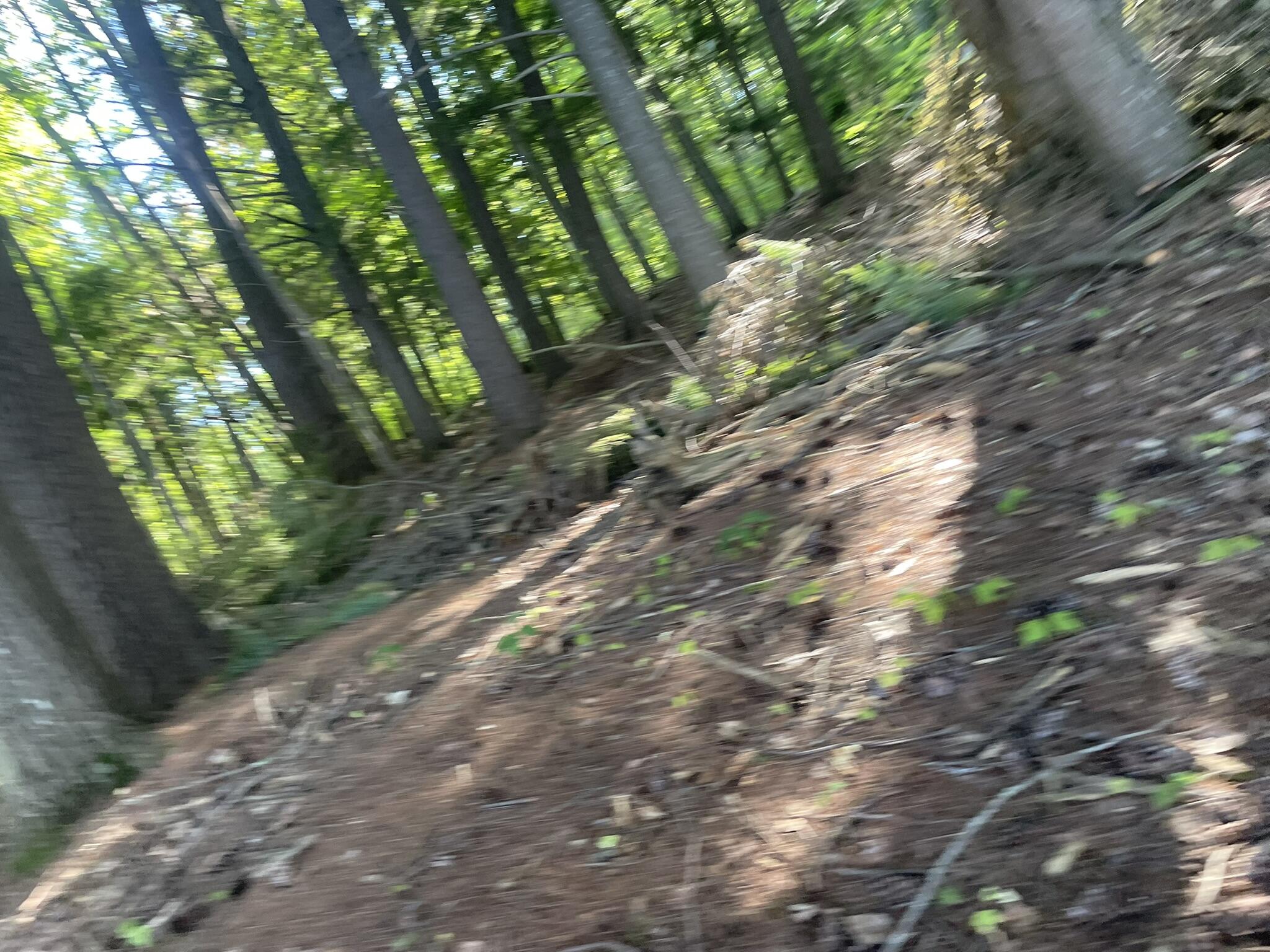 0 Route9-126 Road Property Photo 86