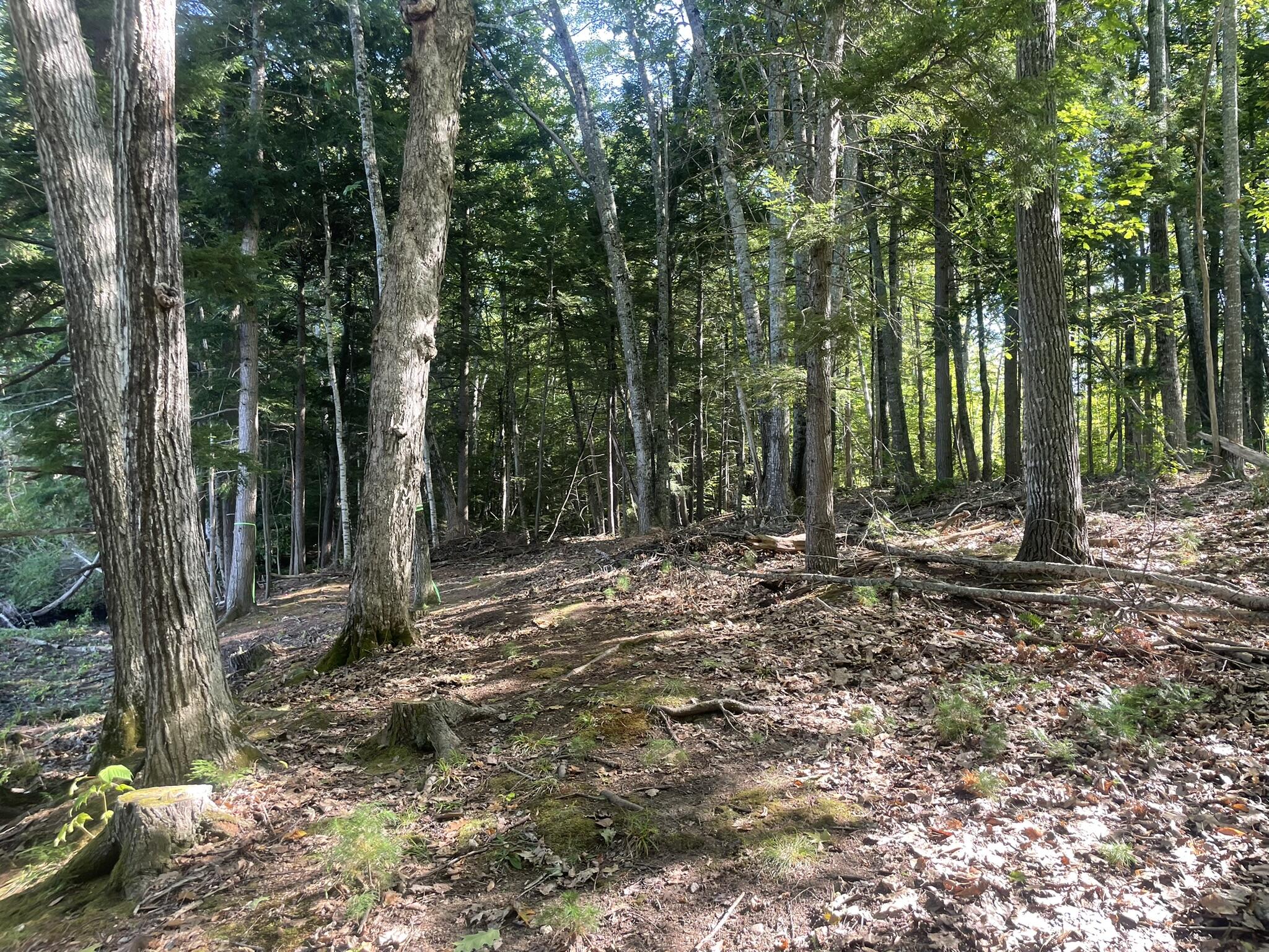 0 Route9-126 Road Property Photo 88