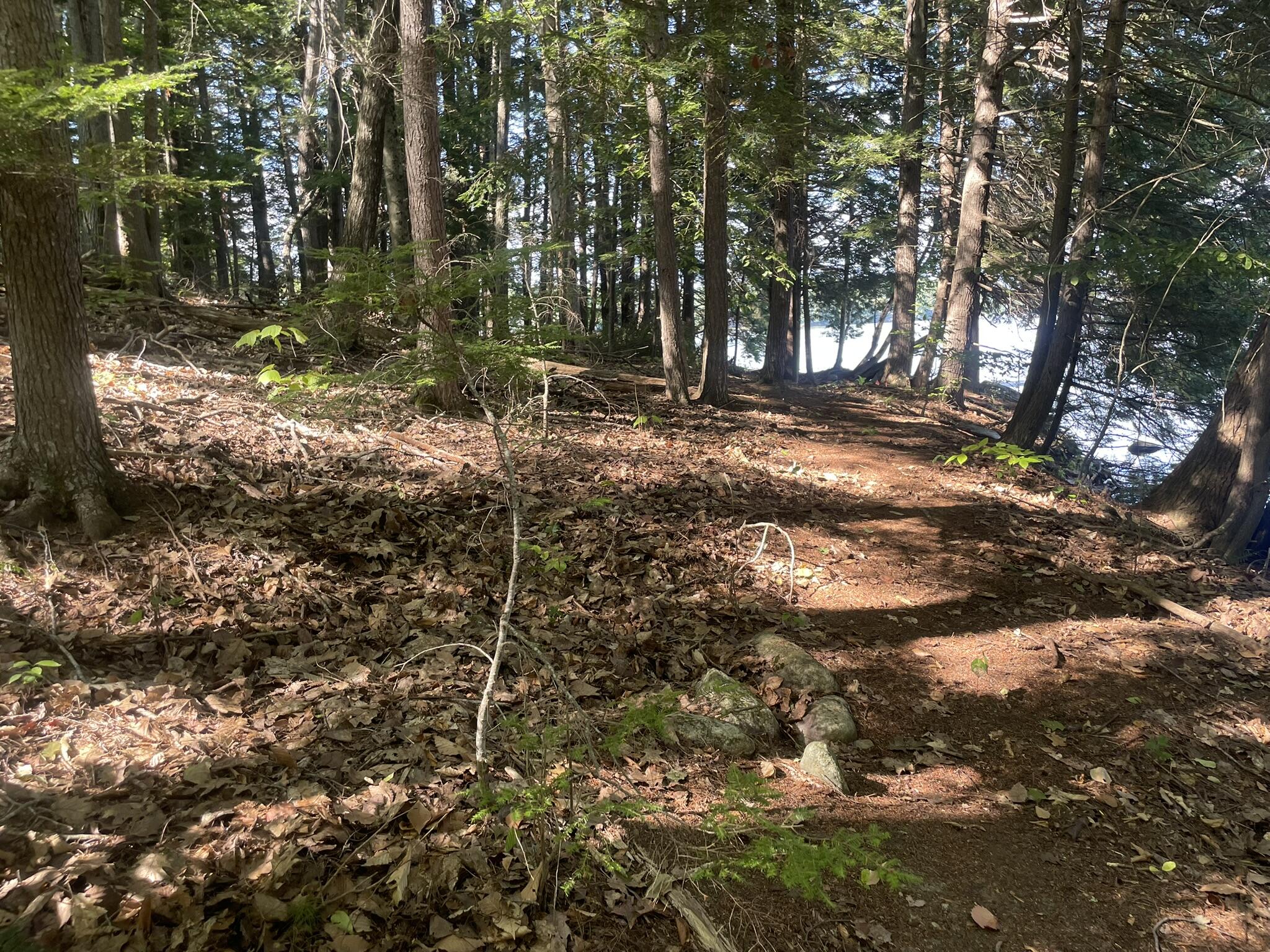 0 Route9-126 Road Property Photo 89