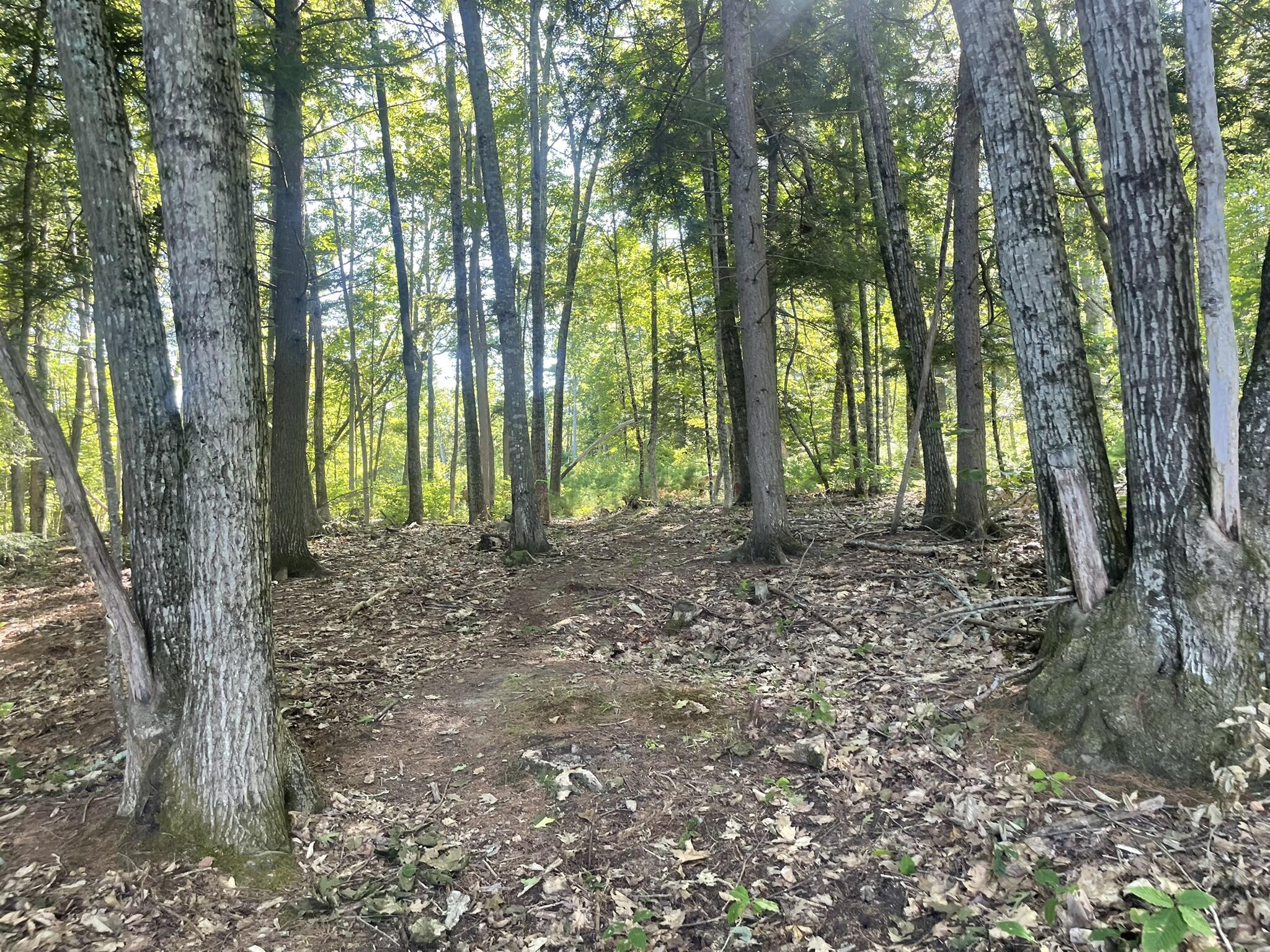0 Route9-126 Road Property Photo 90