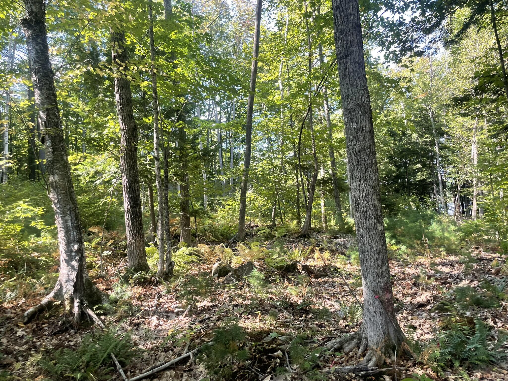 0 Route9-126 Road Property Photo 94