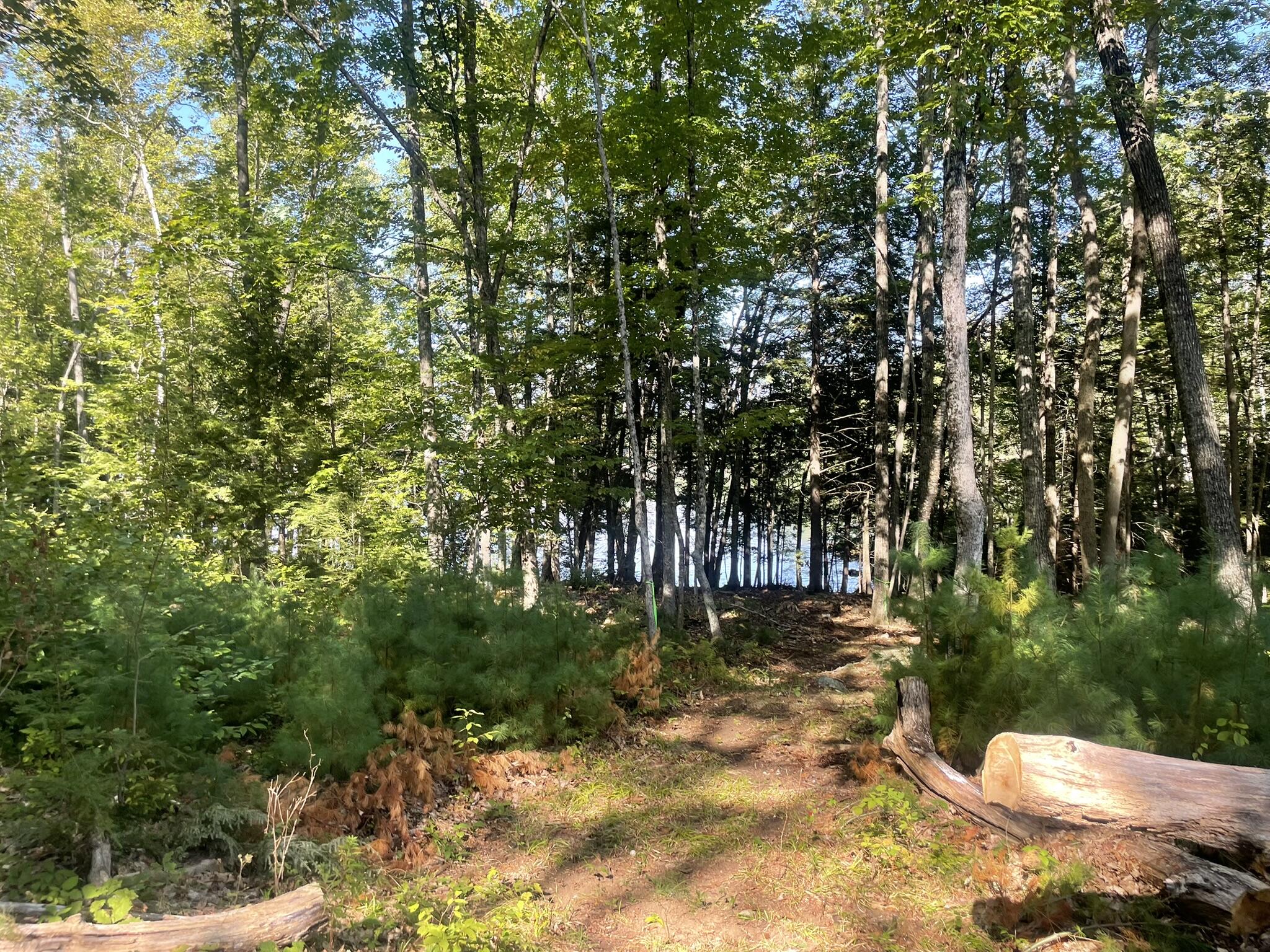 0 Route9-126 Road Property Photo 95
