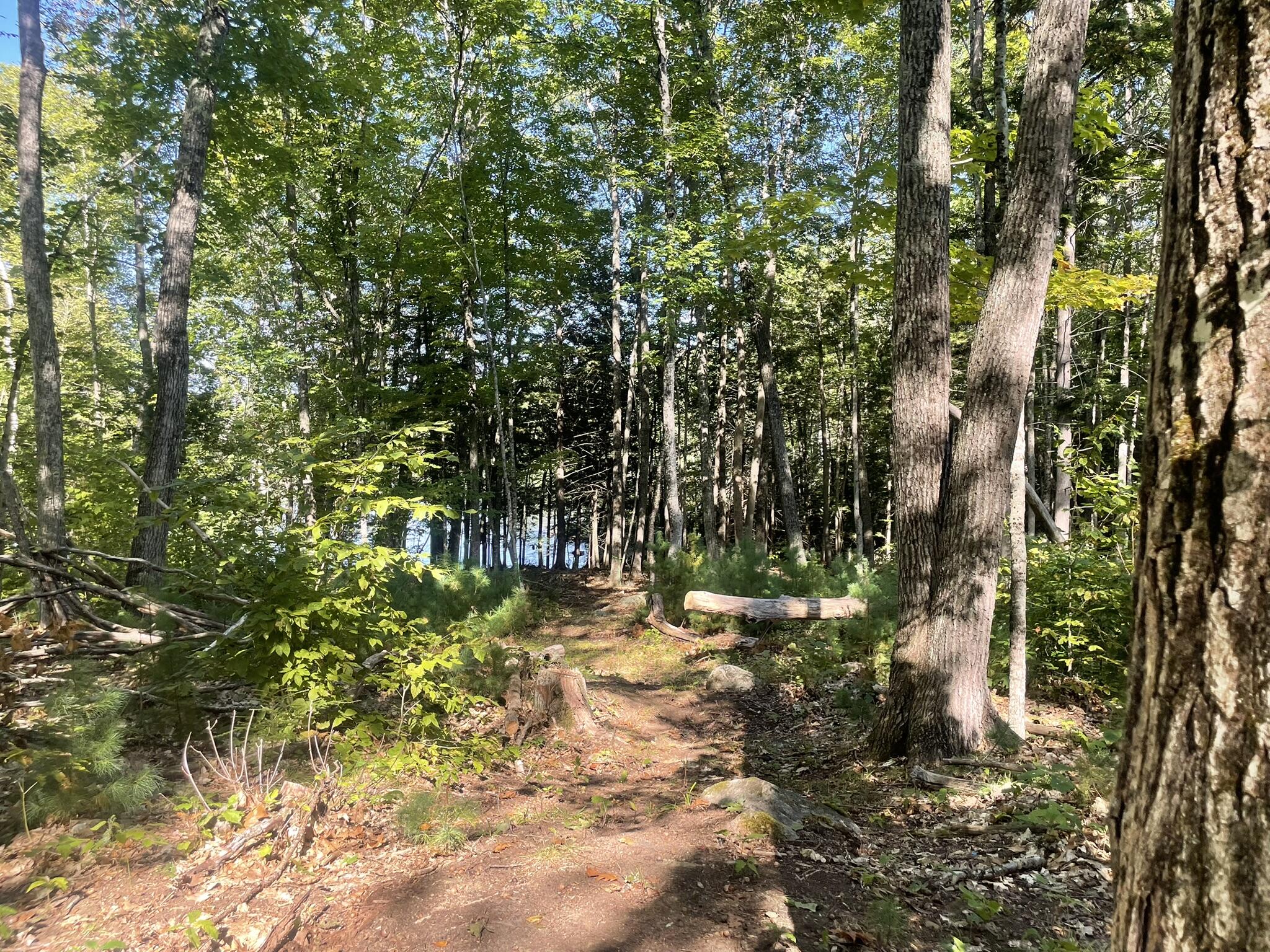 0 Route9-126 Road Property Photo 96