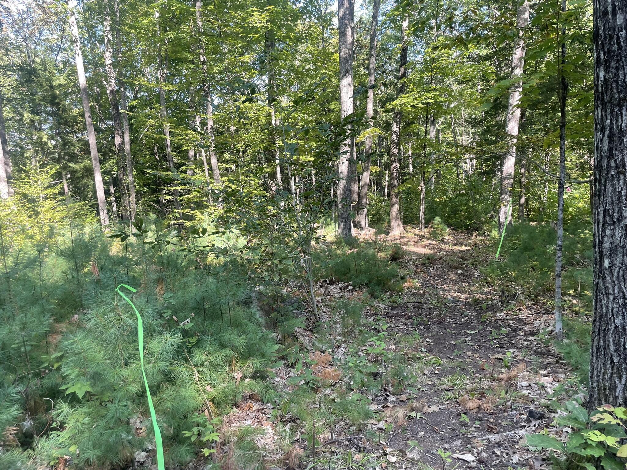 0 Route9-126 Road Property Photo 97