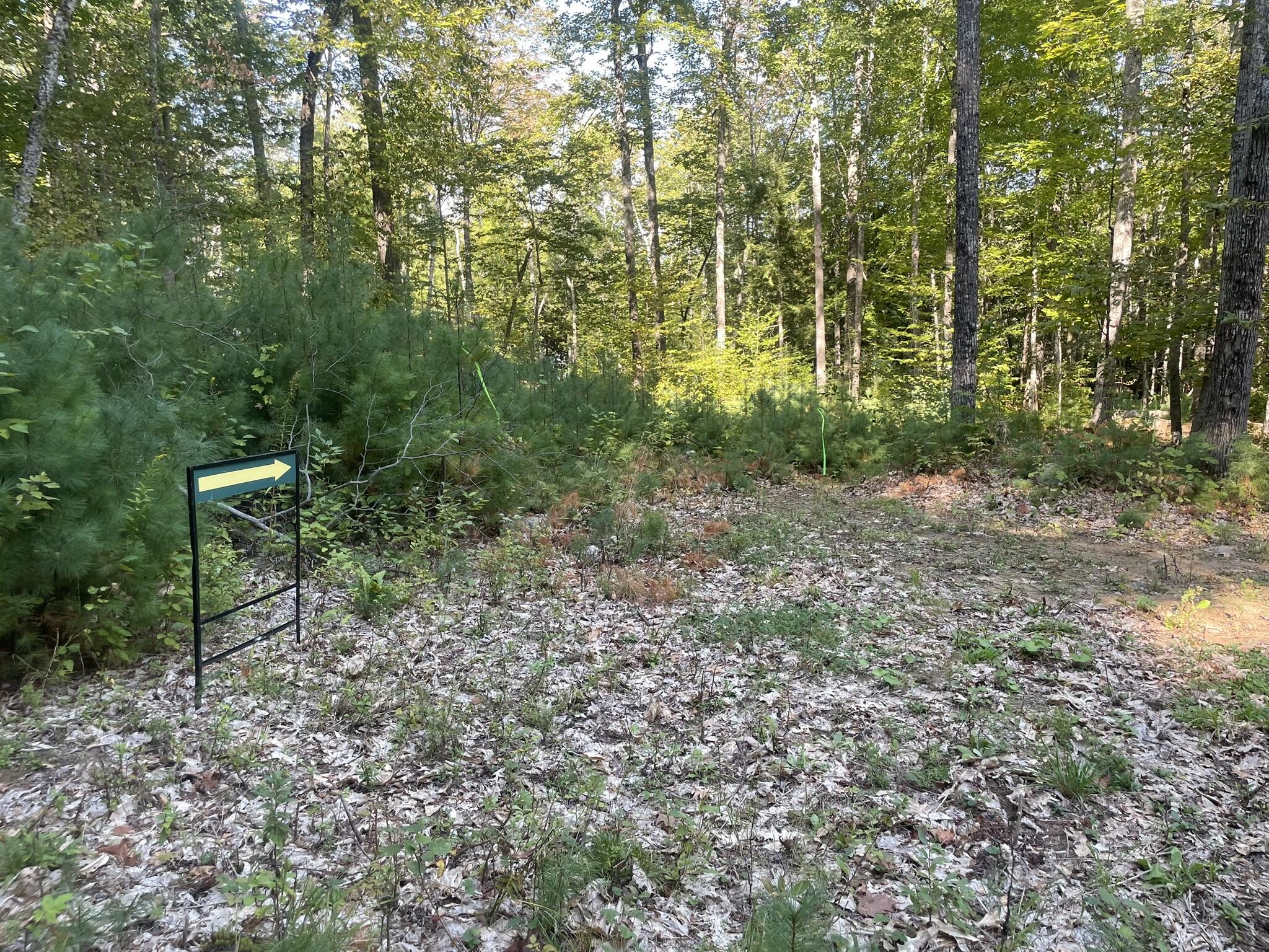 0 Route9-126 Road Property Photo 98