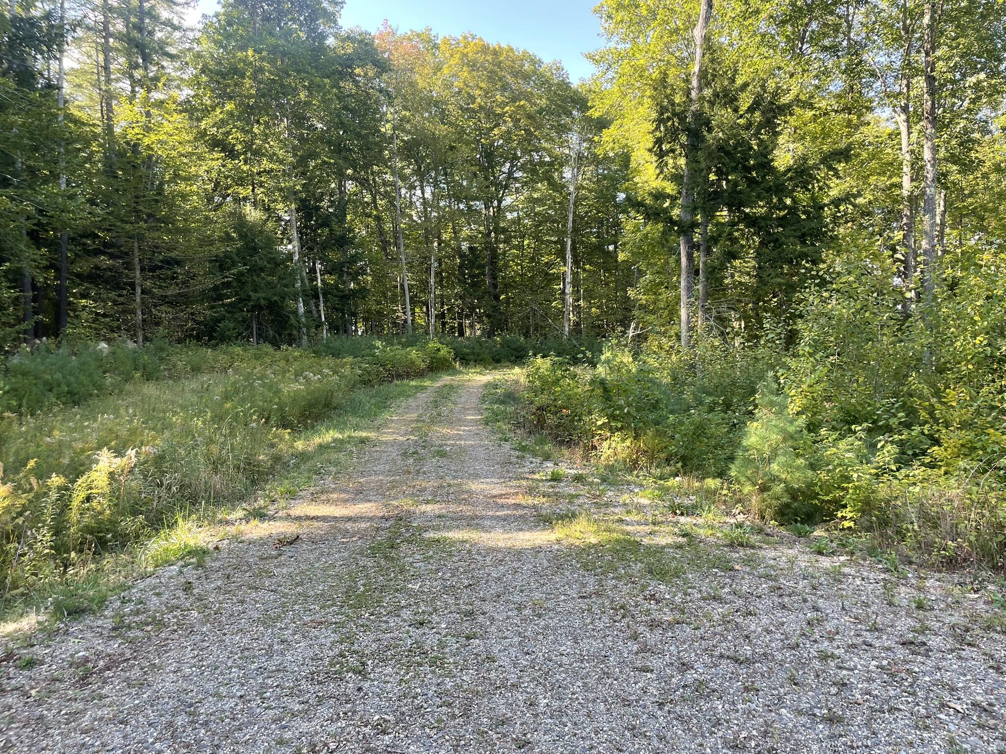 0 Route9-126 Road Property Photo 99