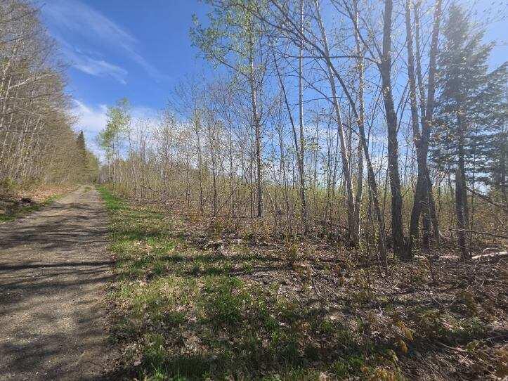Map4lot4b Off Conroy Road Property Photo 1