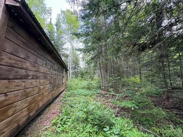 Lot #3 Pleine Road Property Photo 4