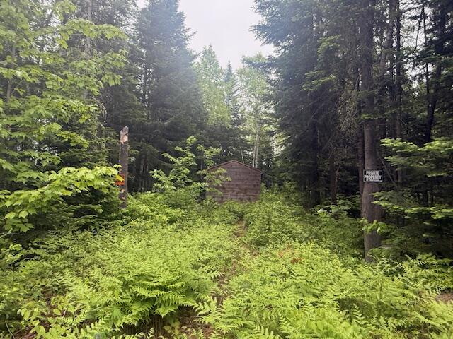Lot #3 Pleine Road Property Photo 9